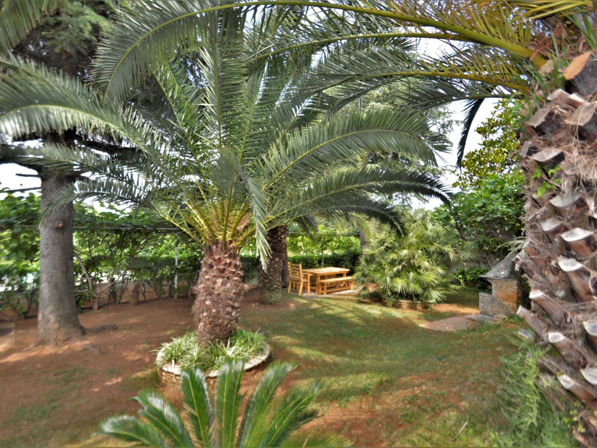 Outdoor