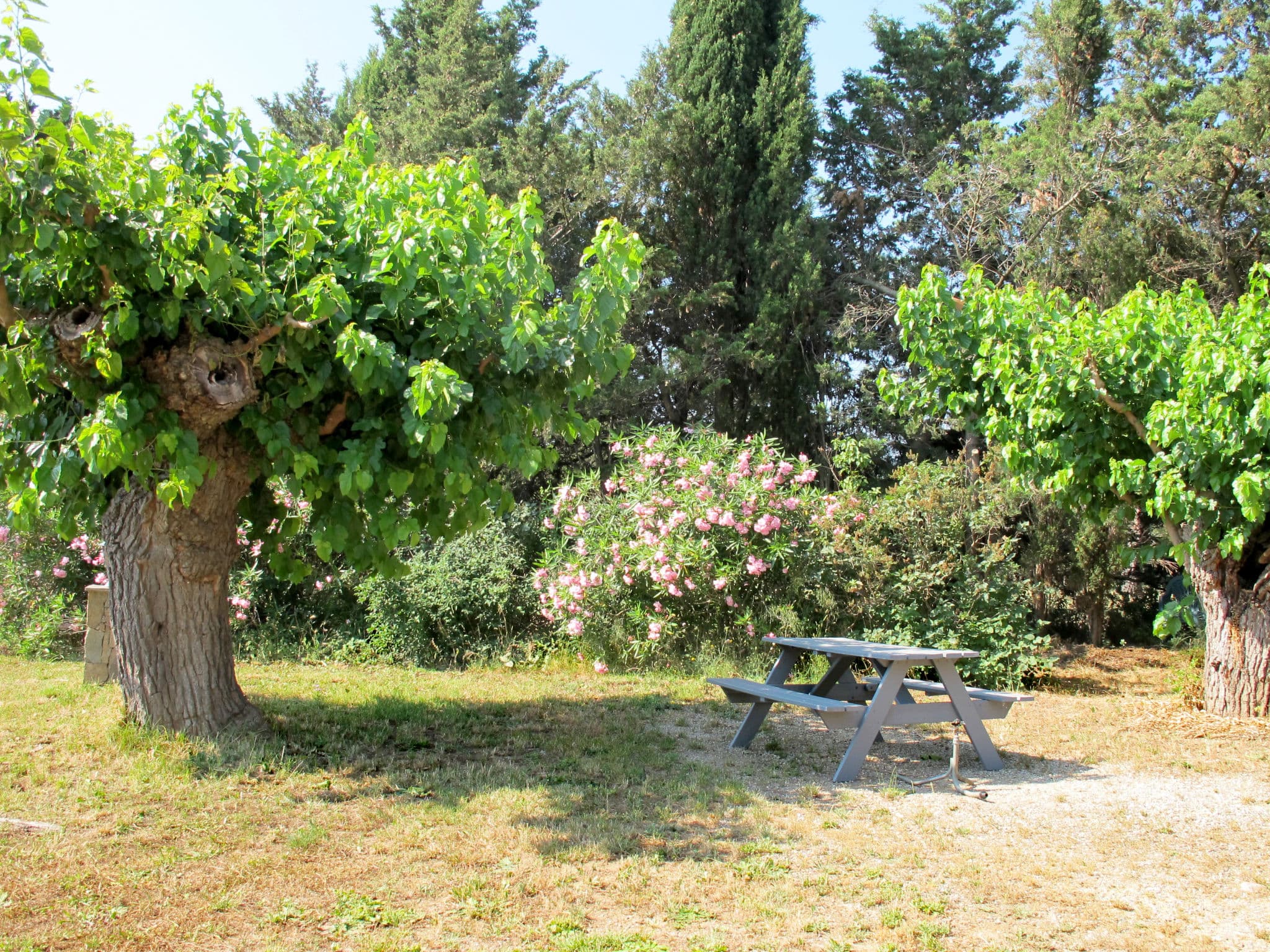 Outdoor