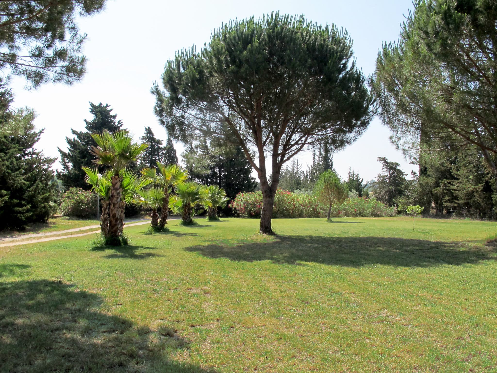 Outdoor