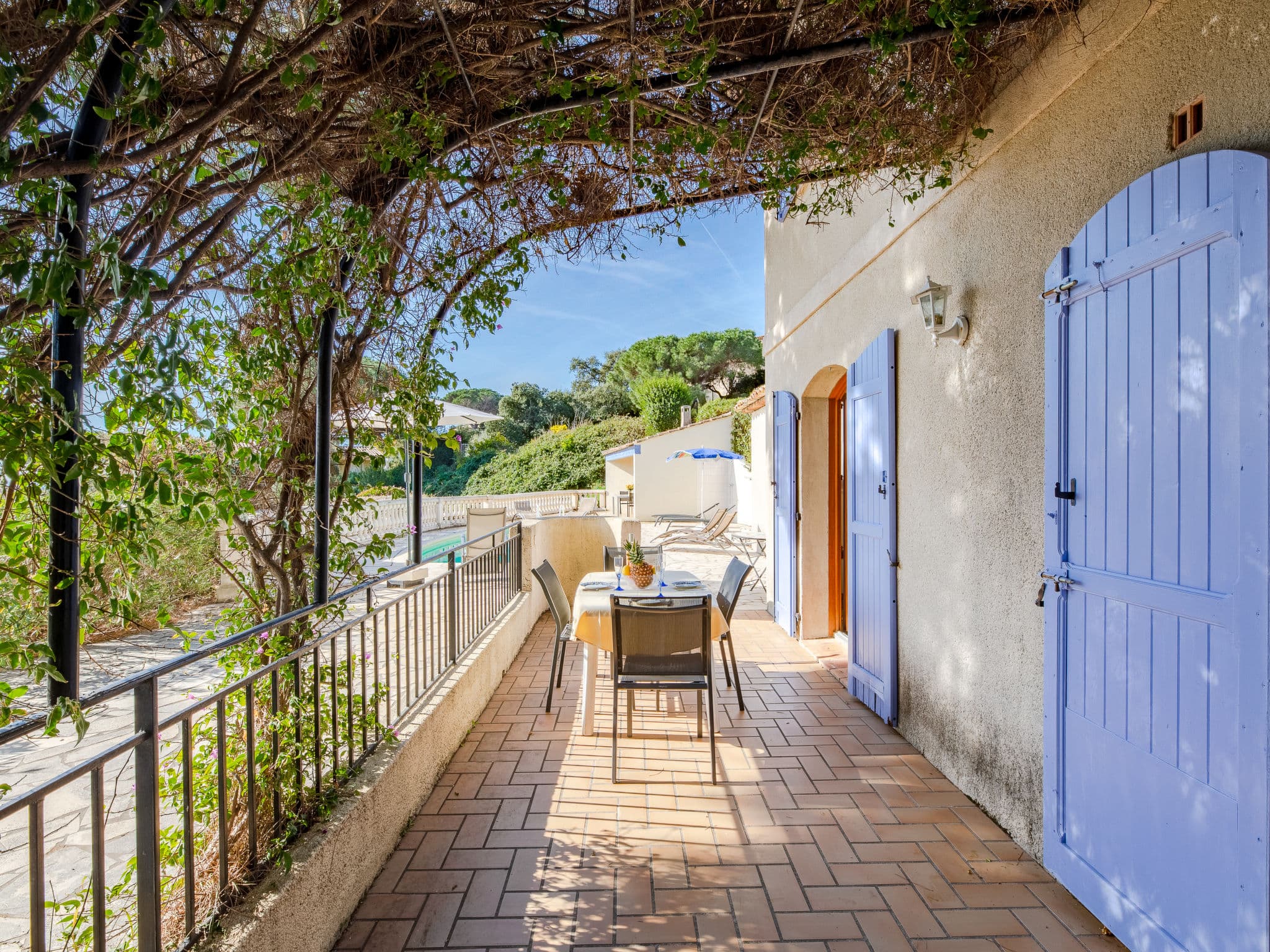 Terrace