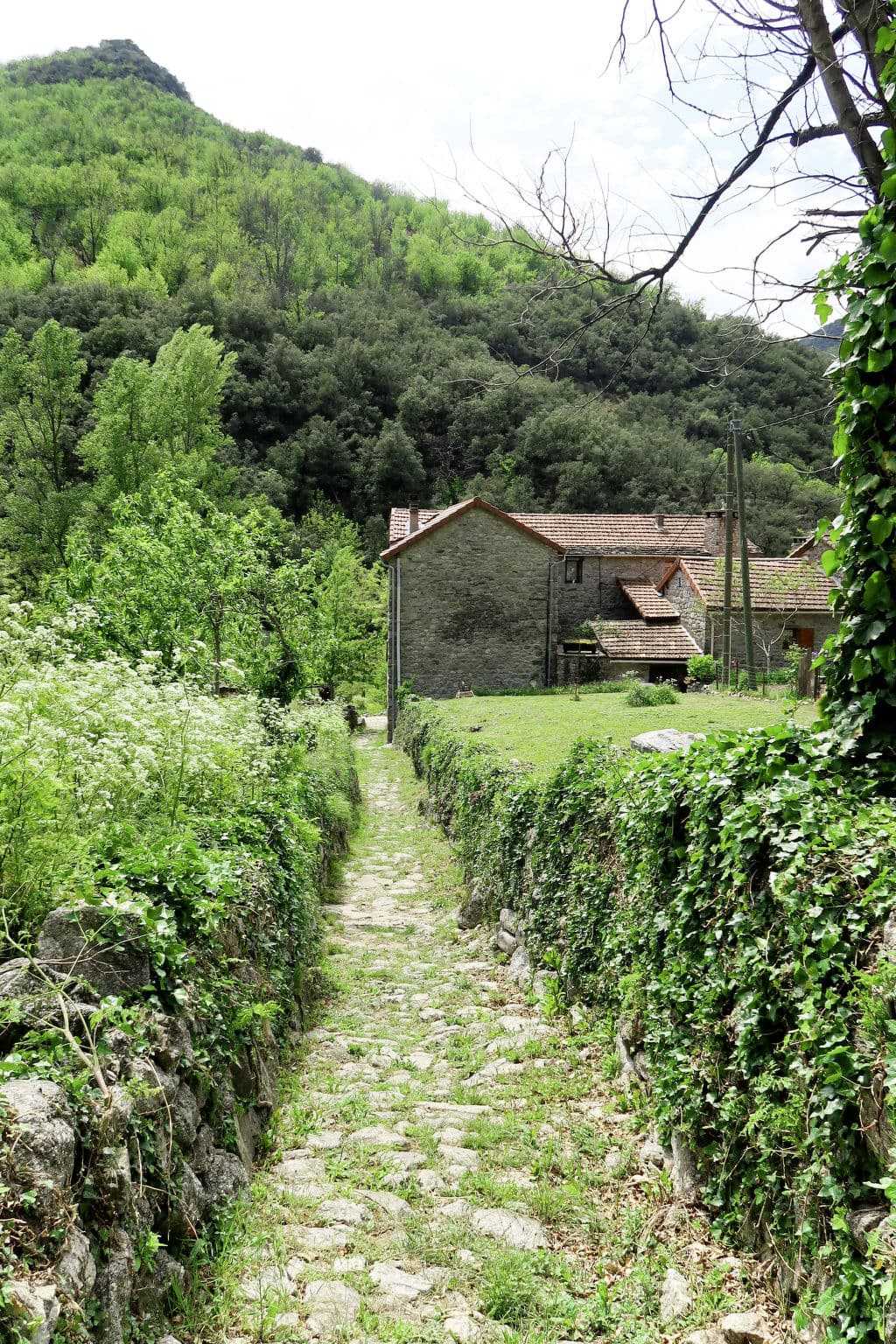 Place