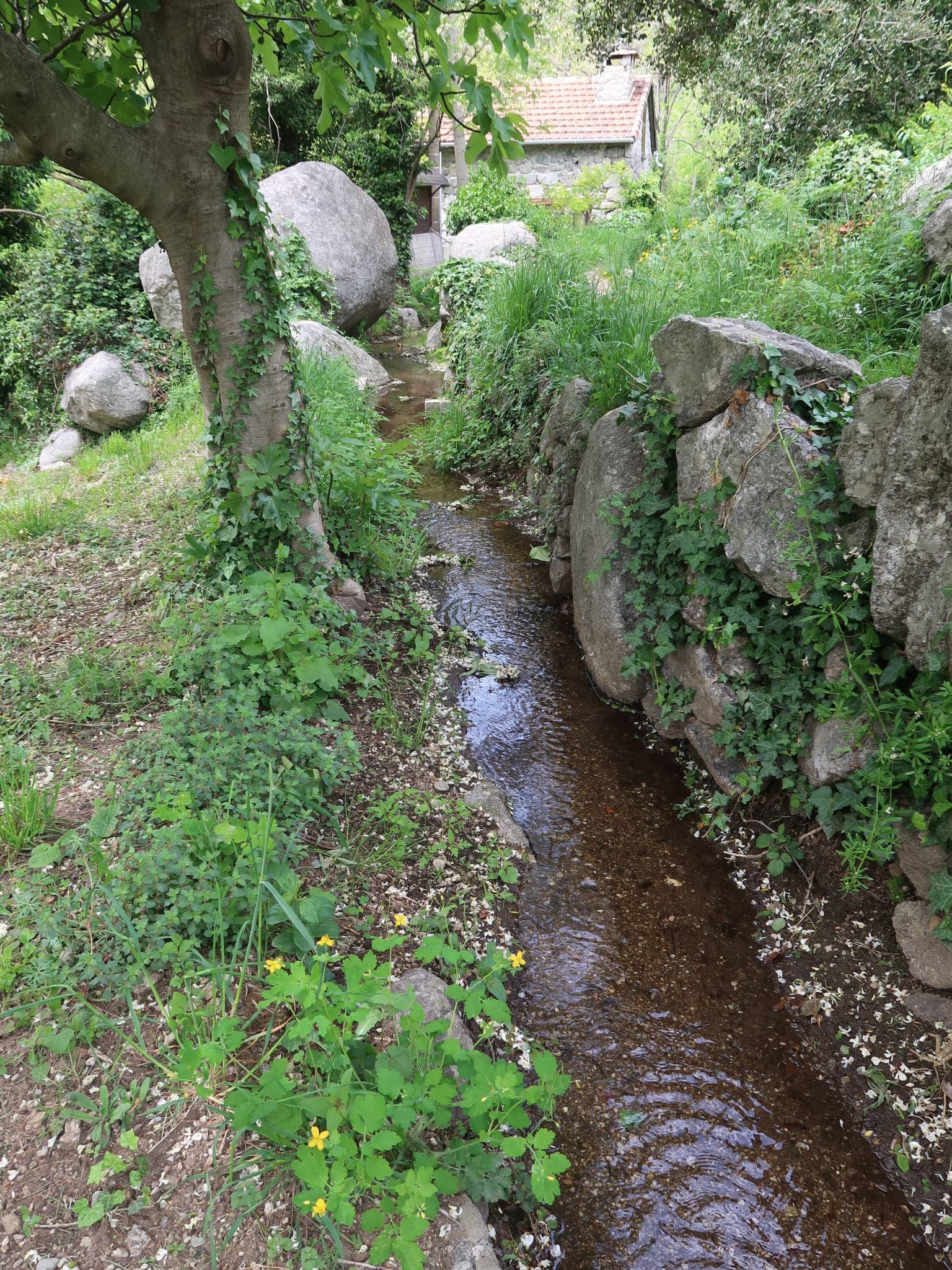 Place