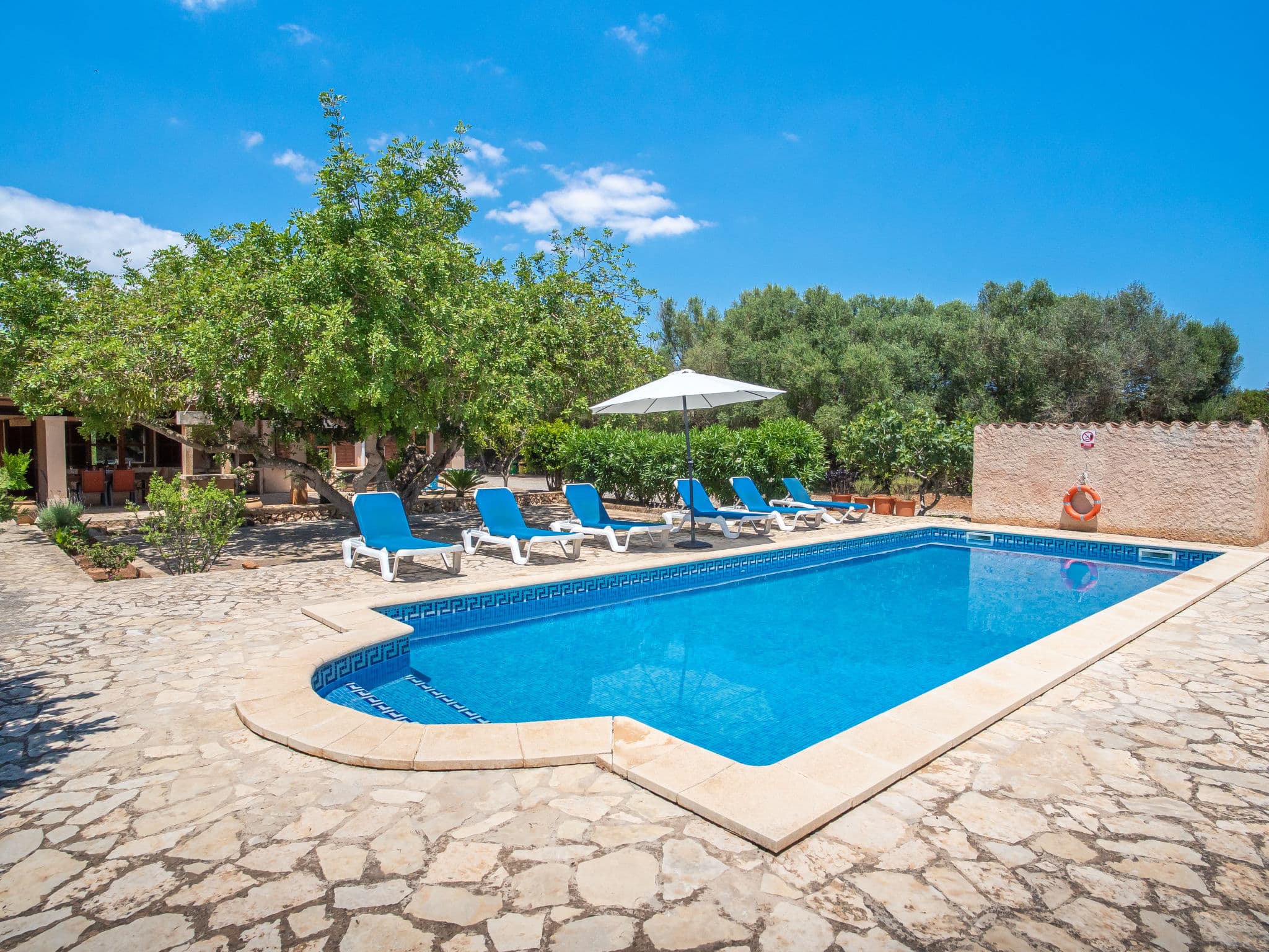 Pool Outdoor