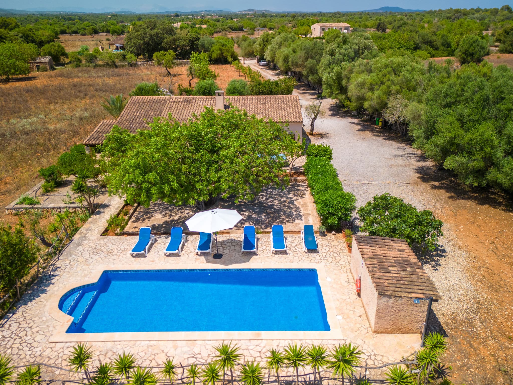 Pool Outdoor