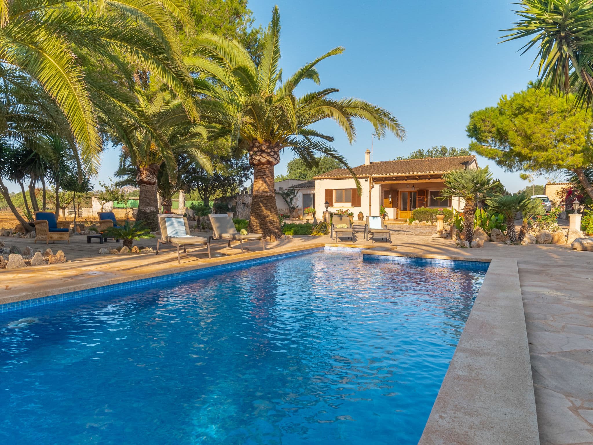 Pool Outdoor