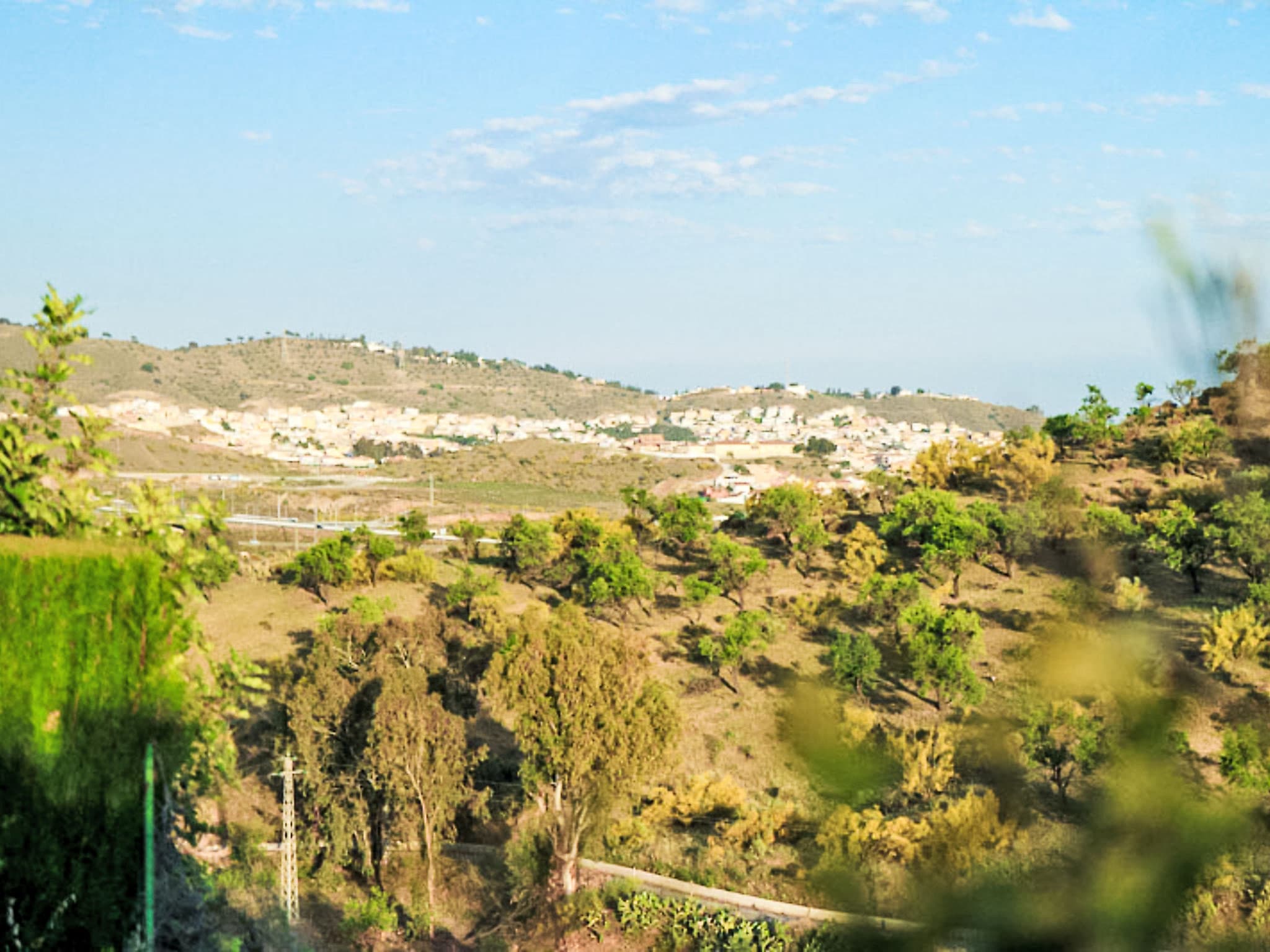 View