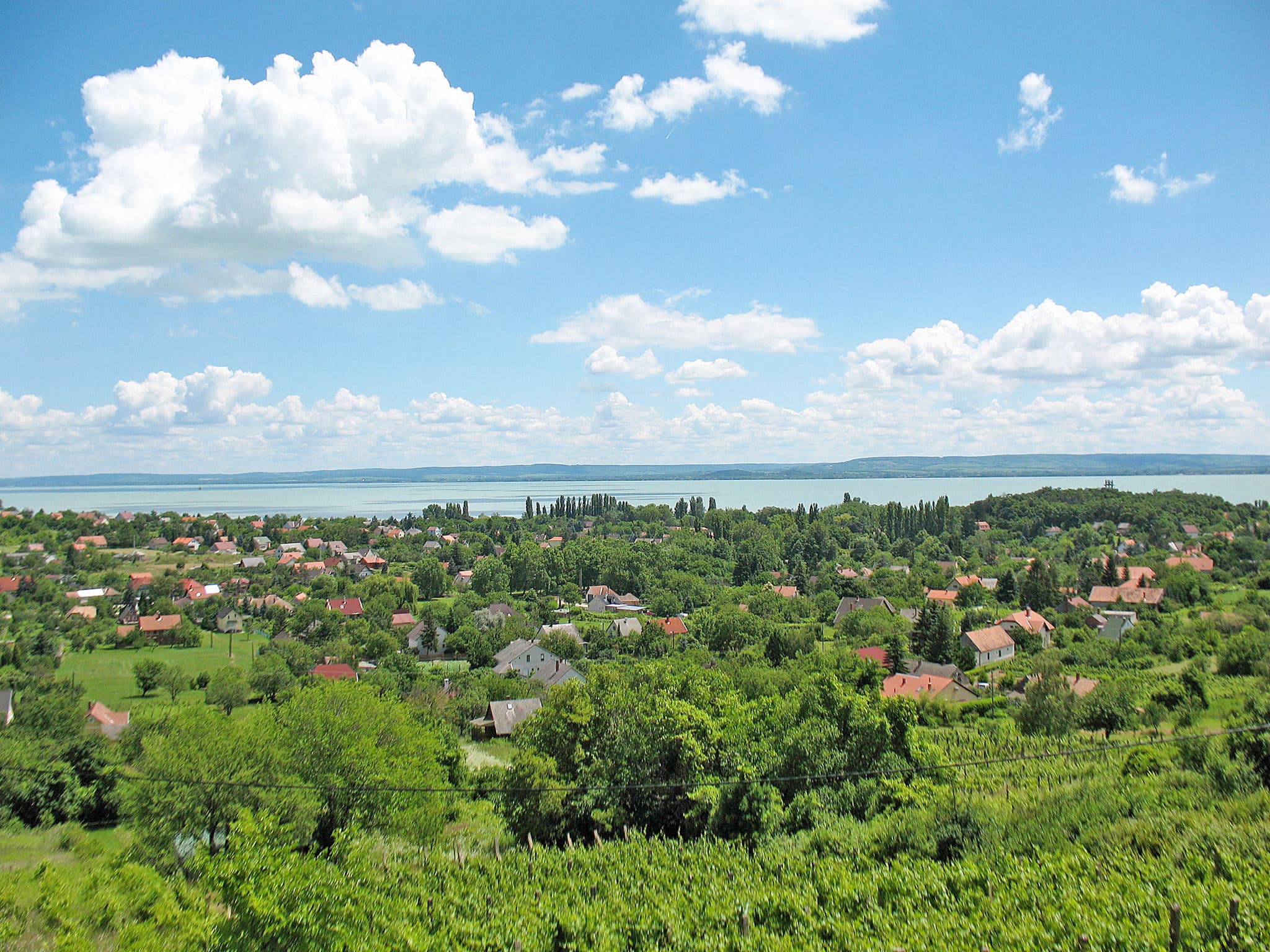 View
