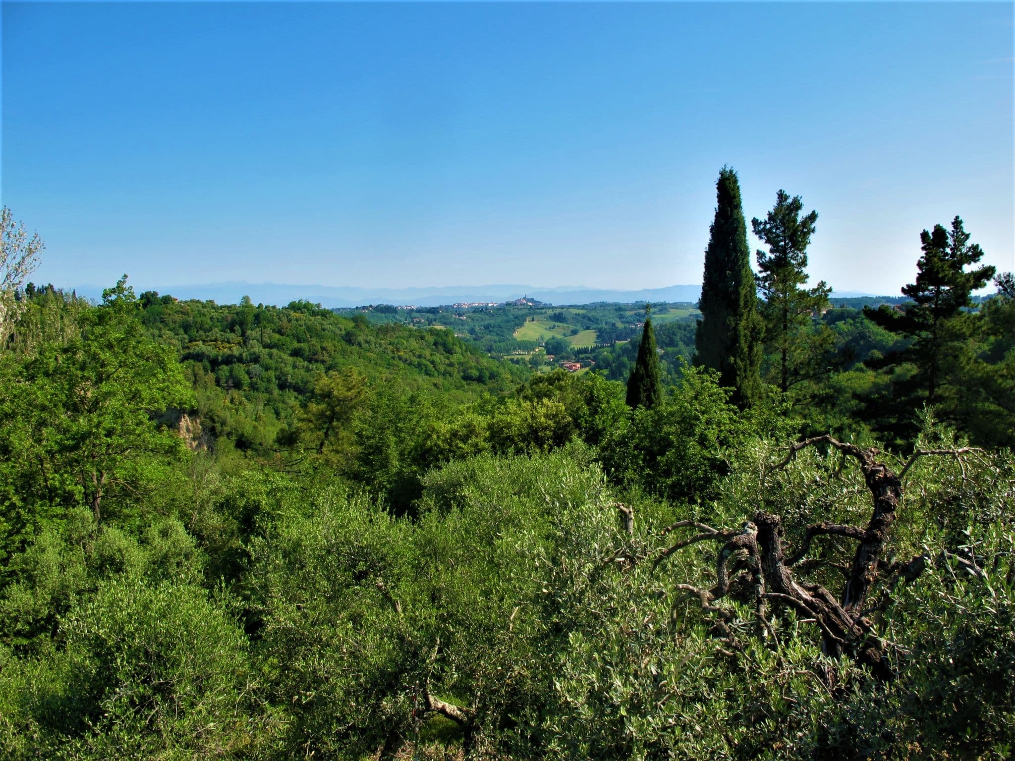View