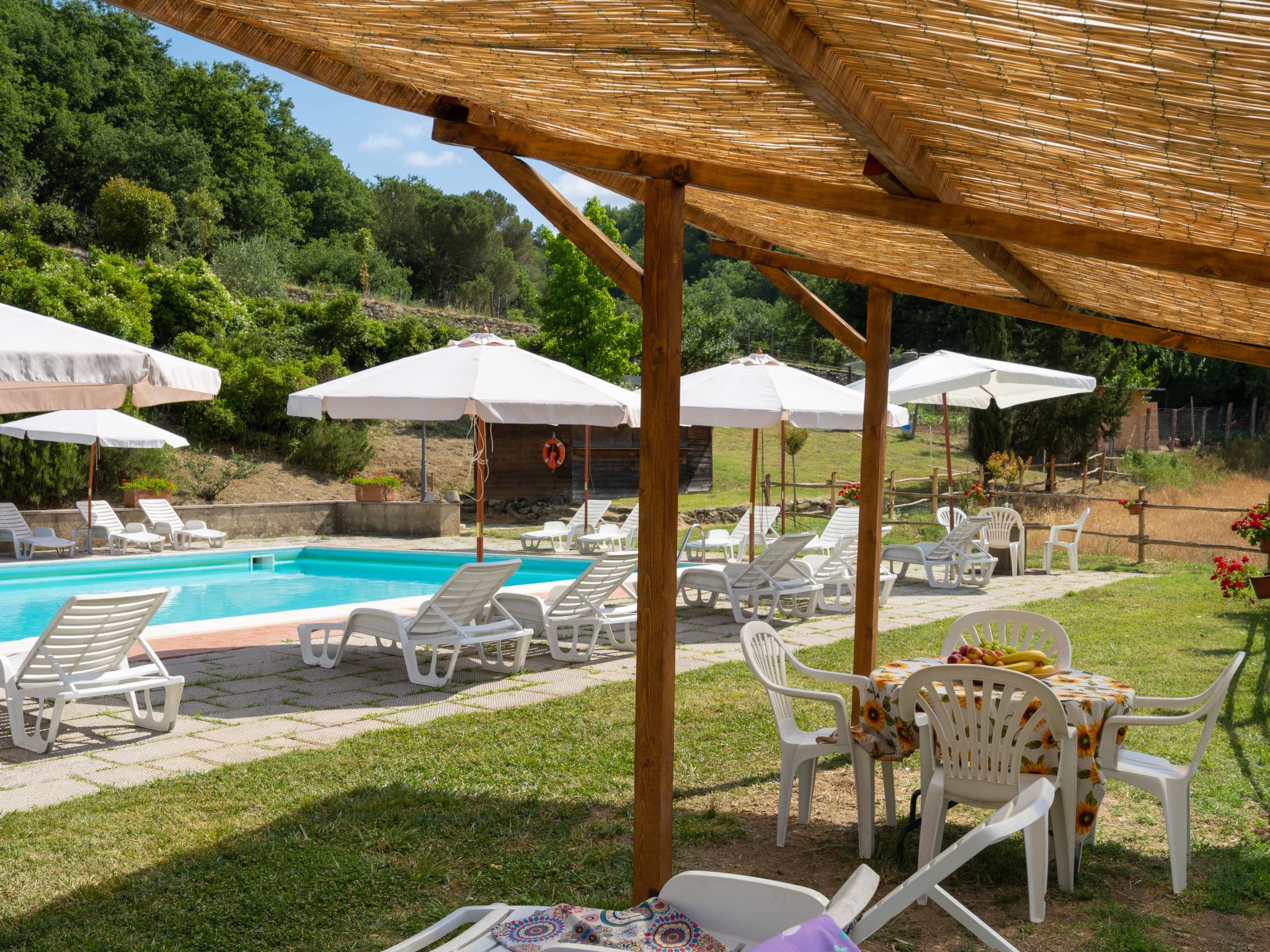 Pool Outdoor
