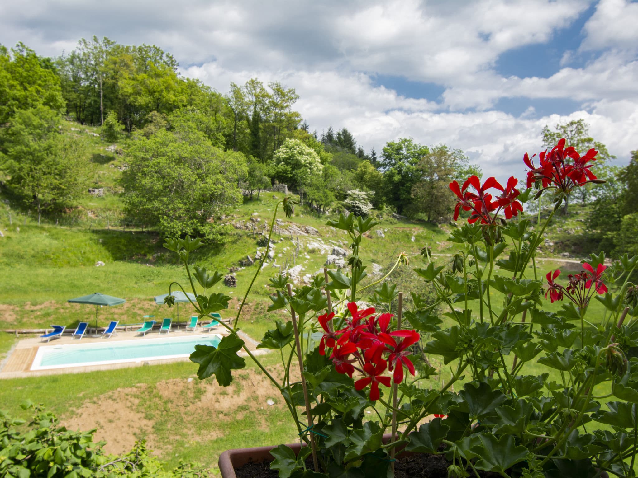 Pool Outdoor