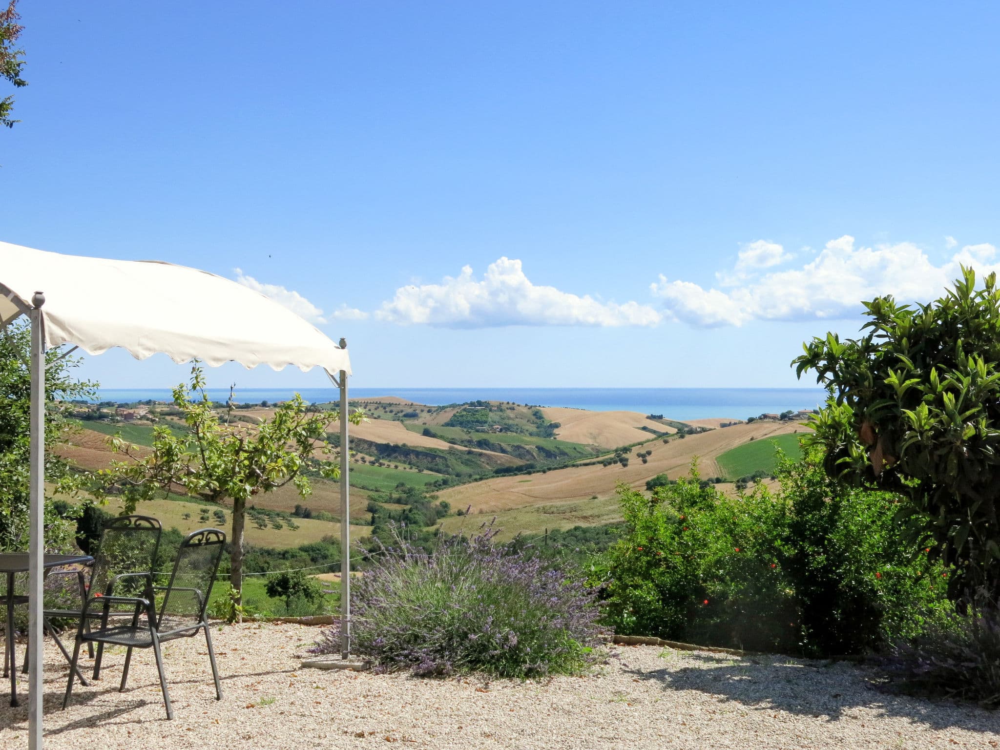 View