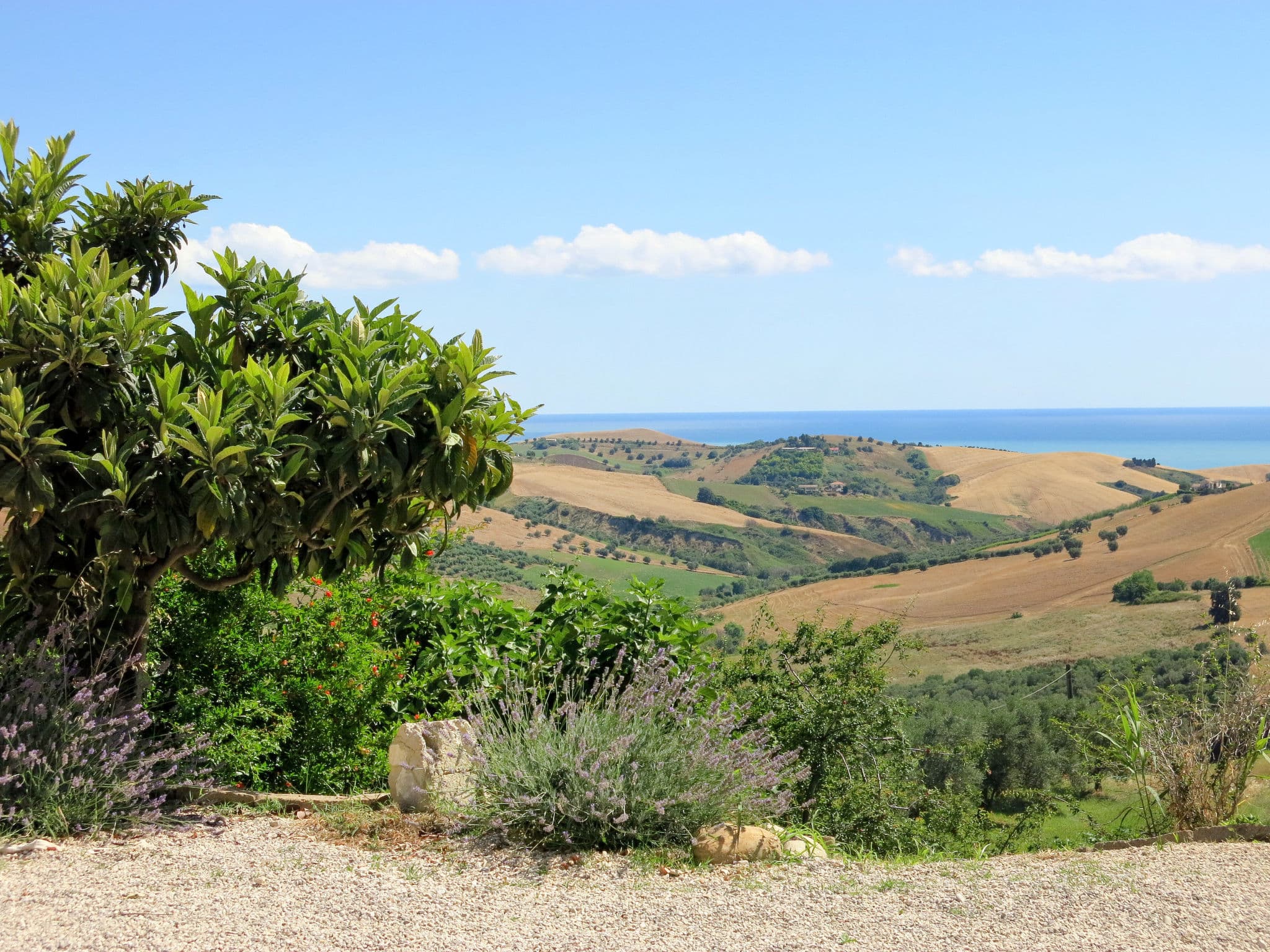 View