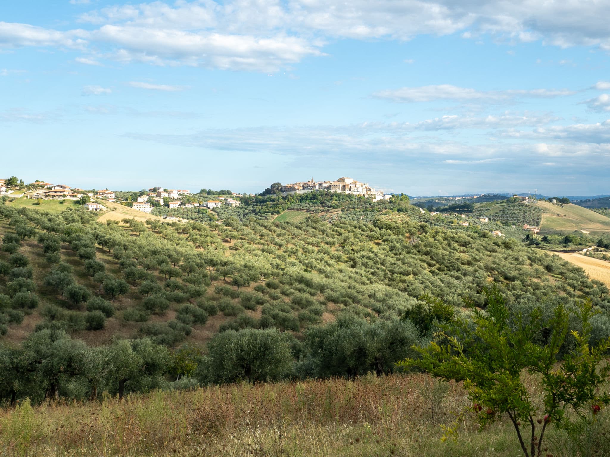 View
