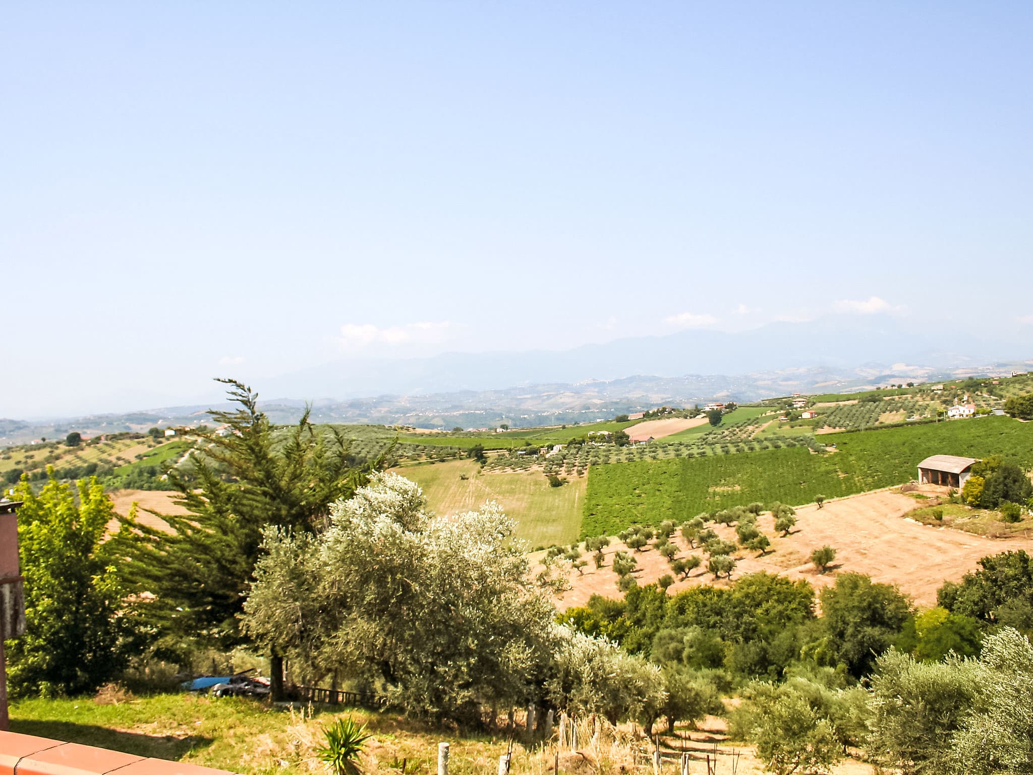 View