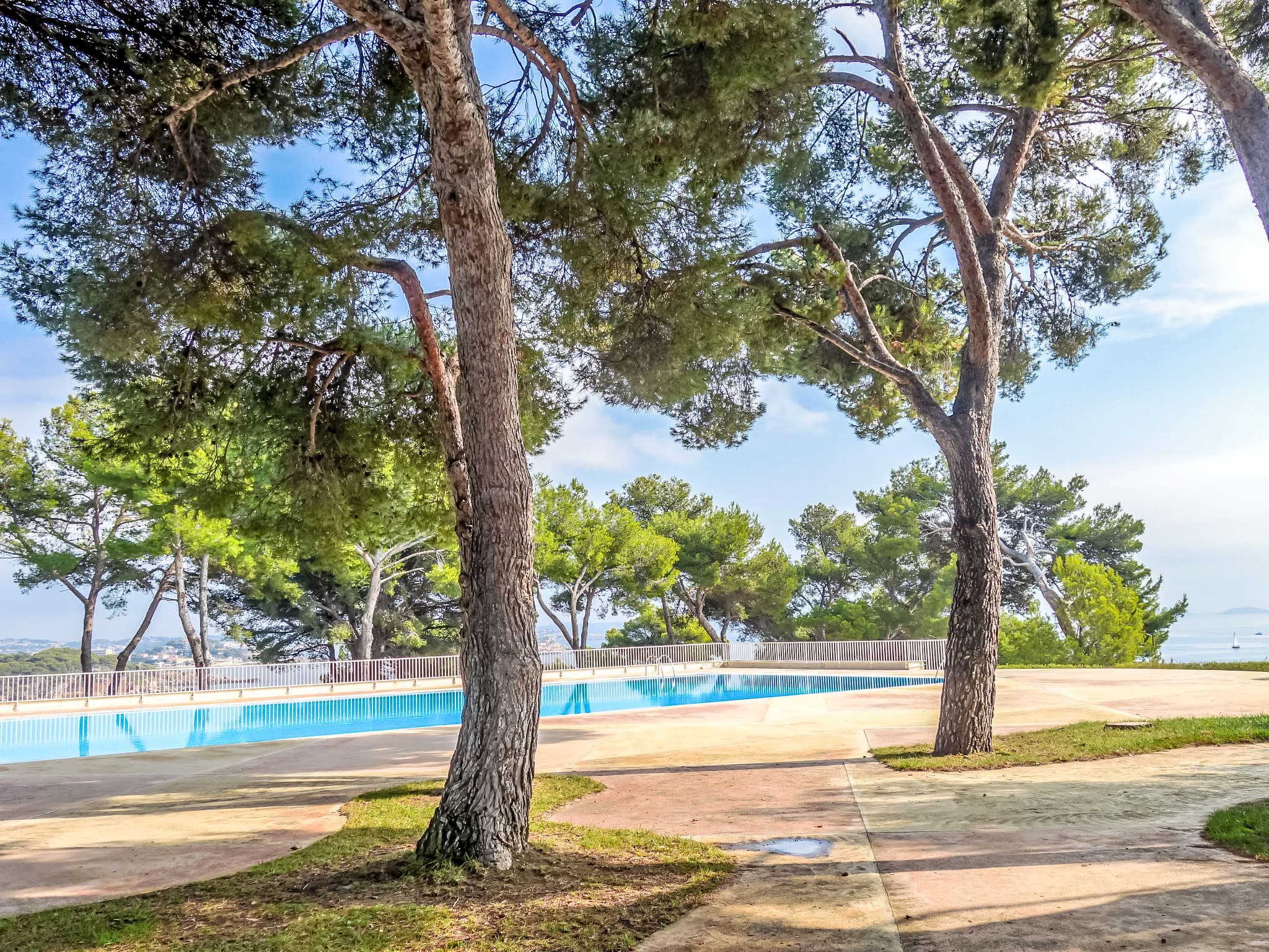 Pool Outdoor