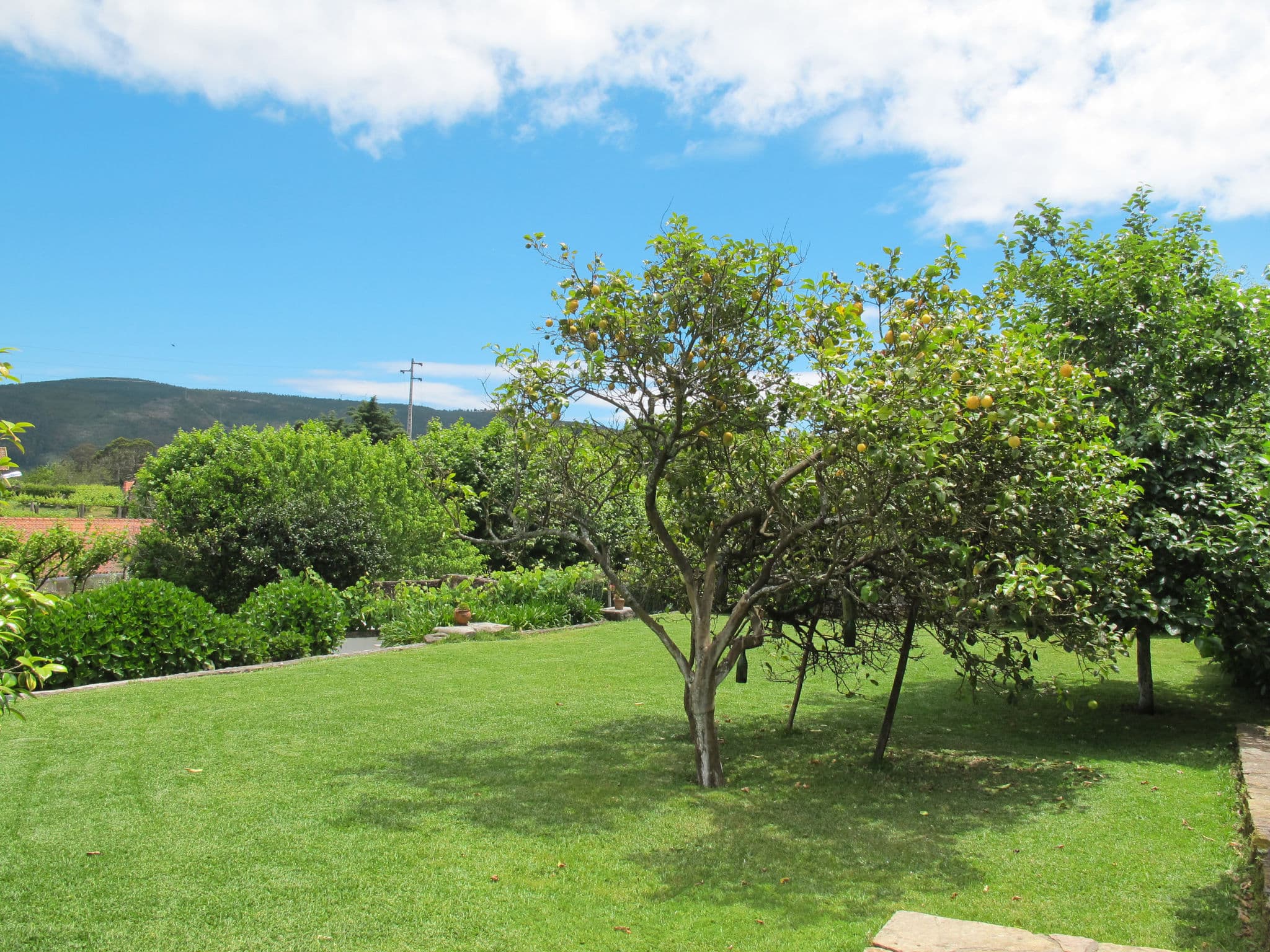 Outdoor