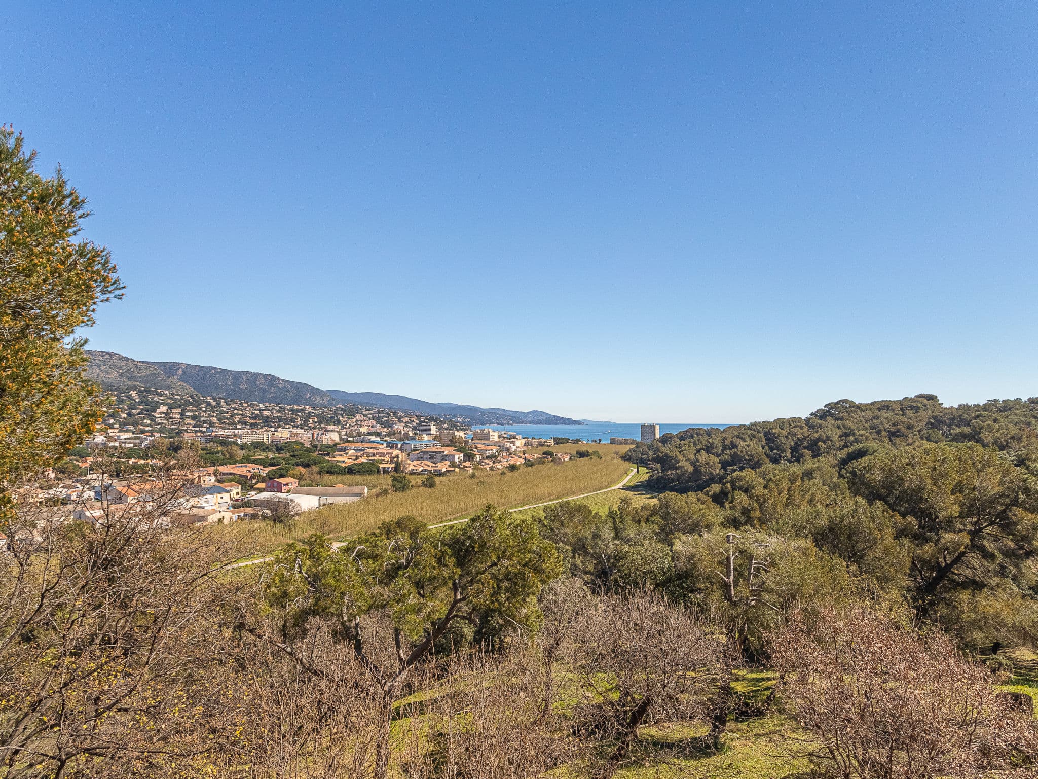 View