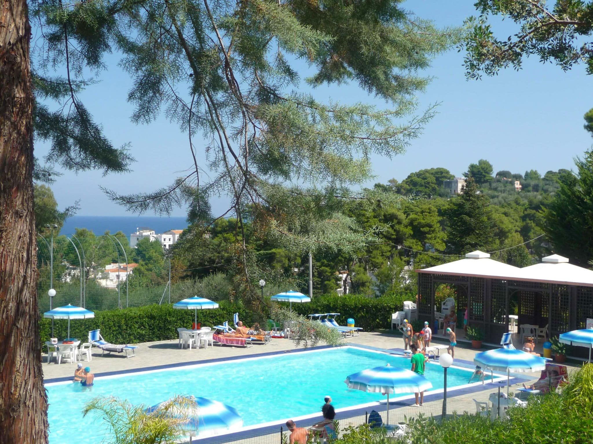Pool Outdoor