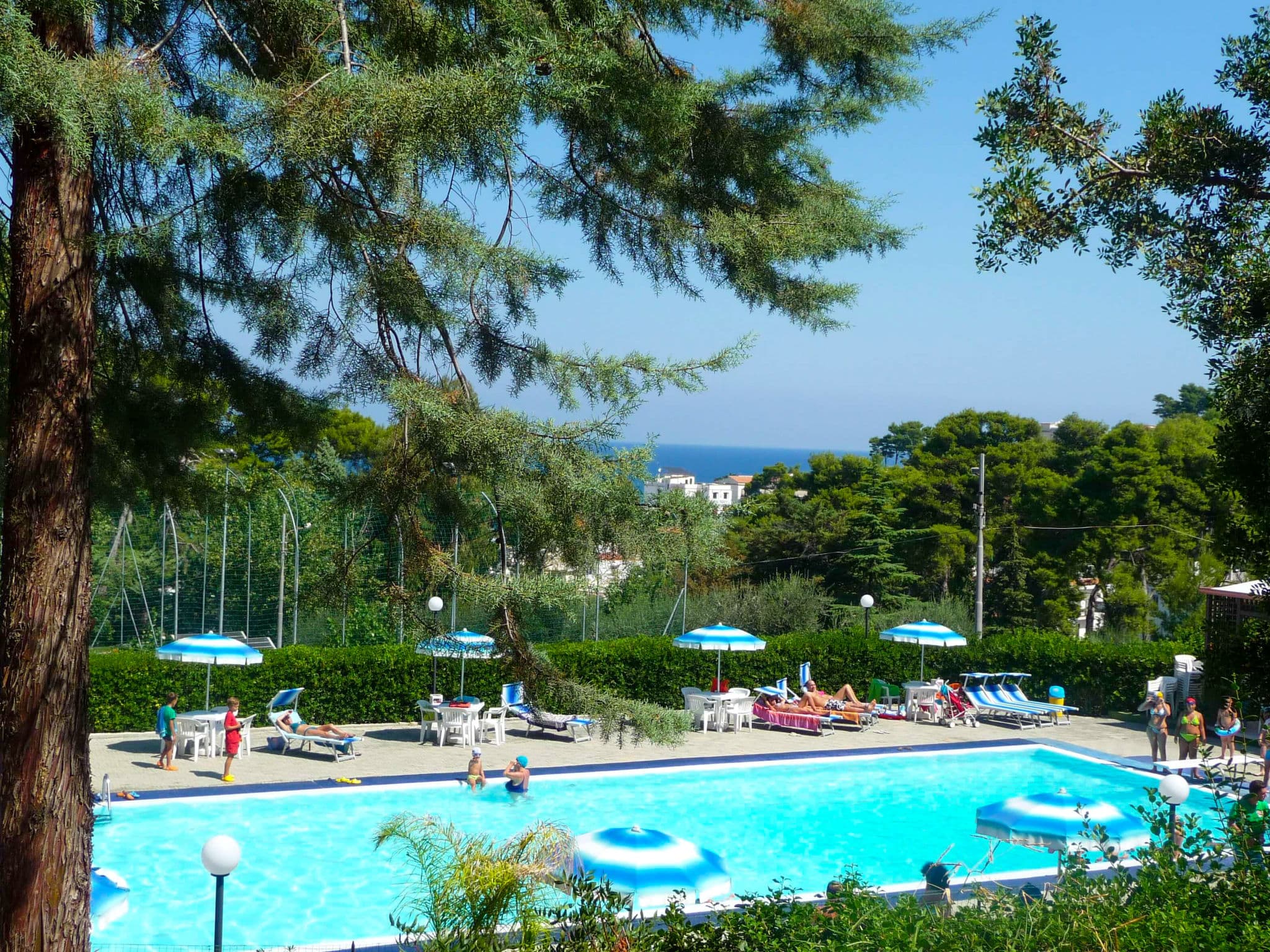 Pool Outdoor