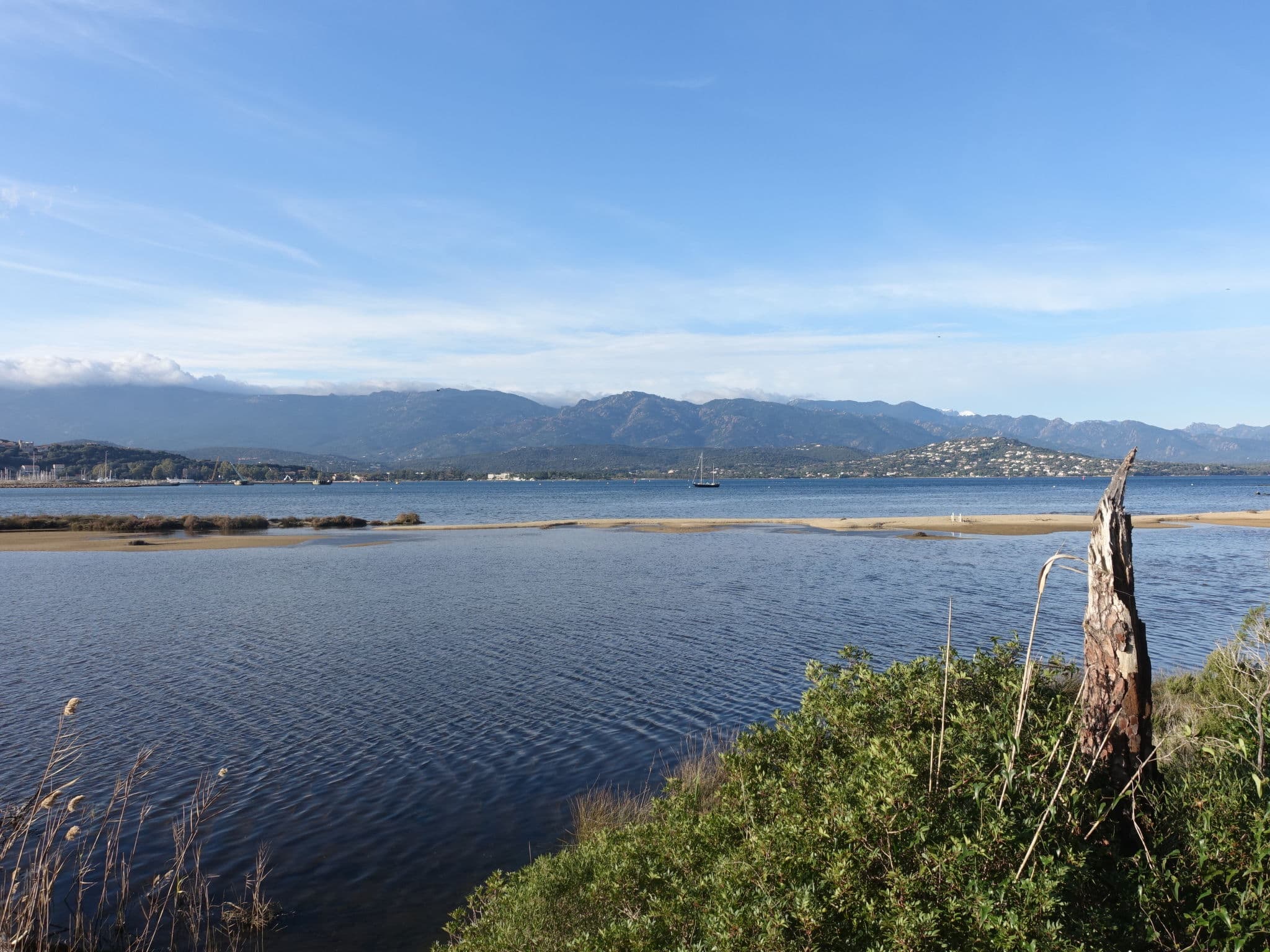 View