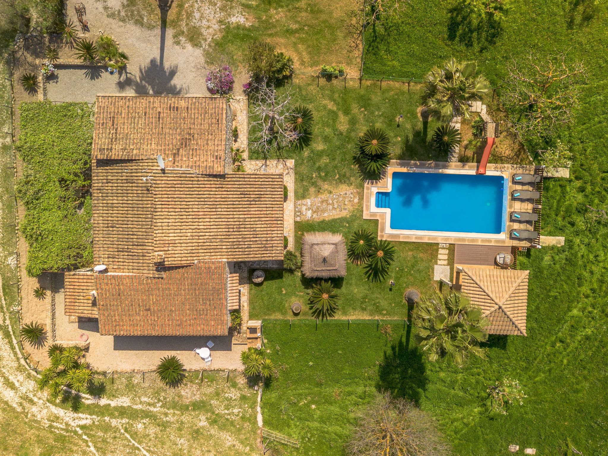 Aerial photography
