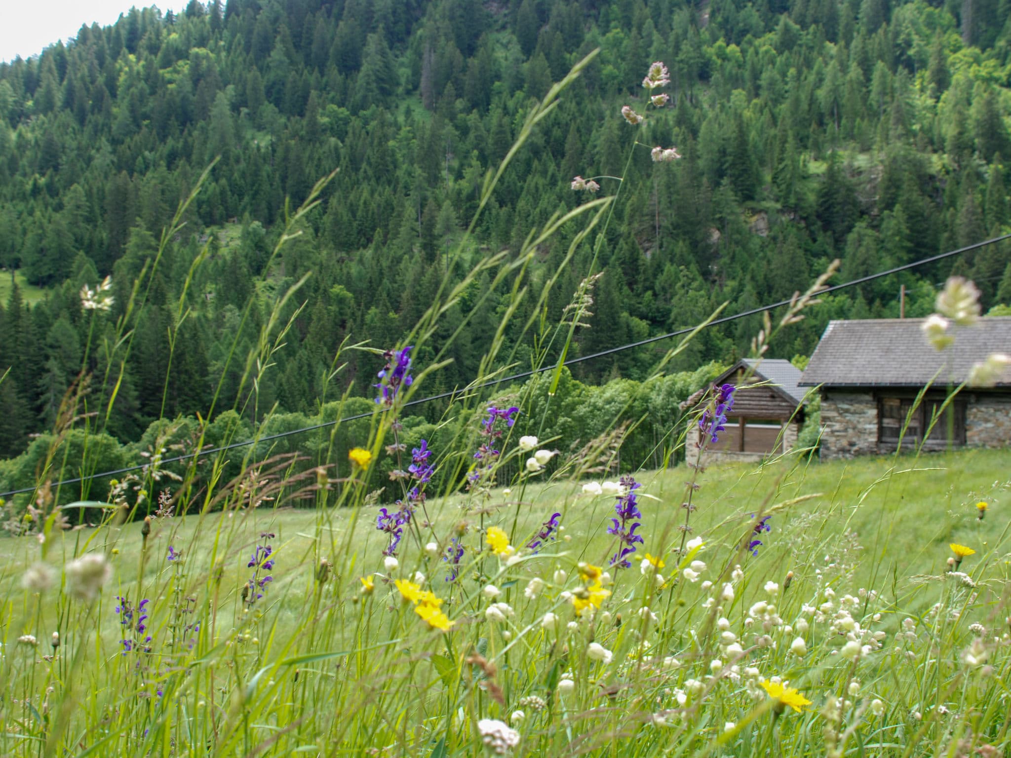 Outdoor