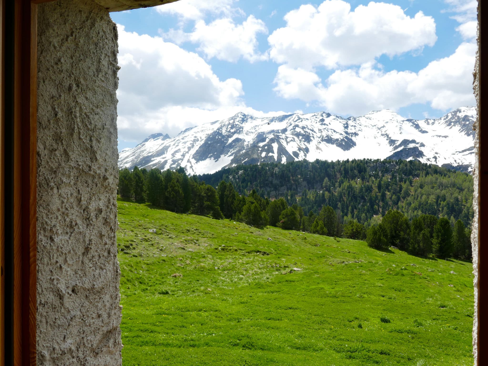 View
