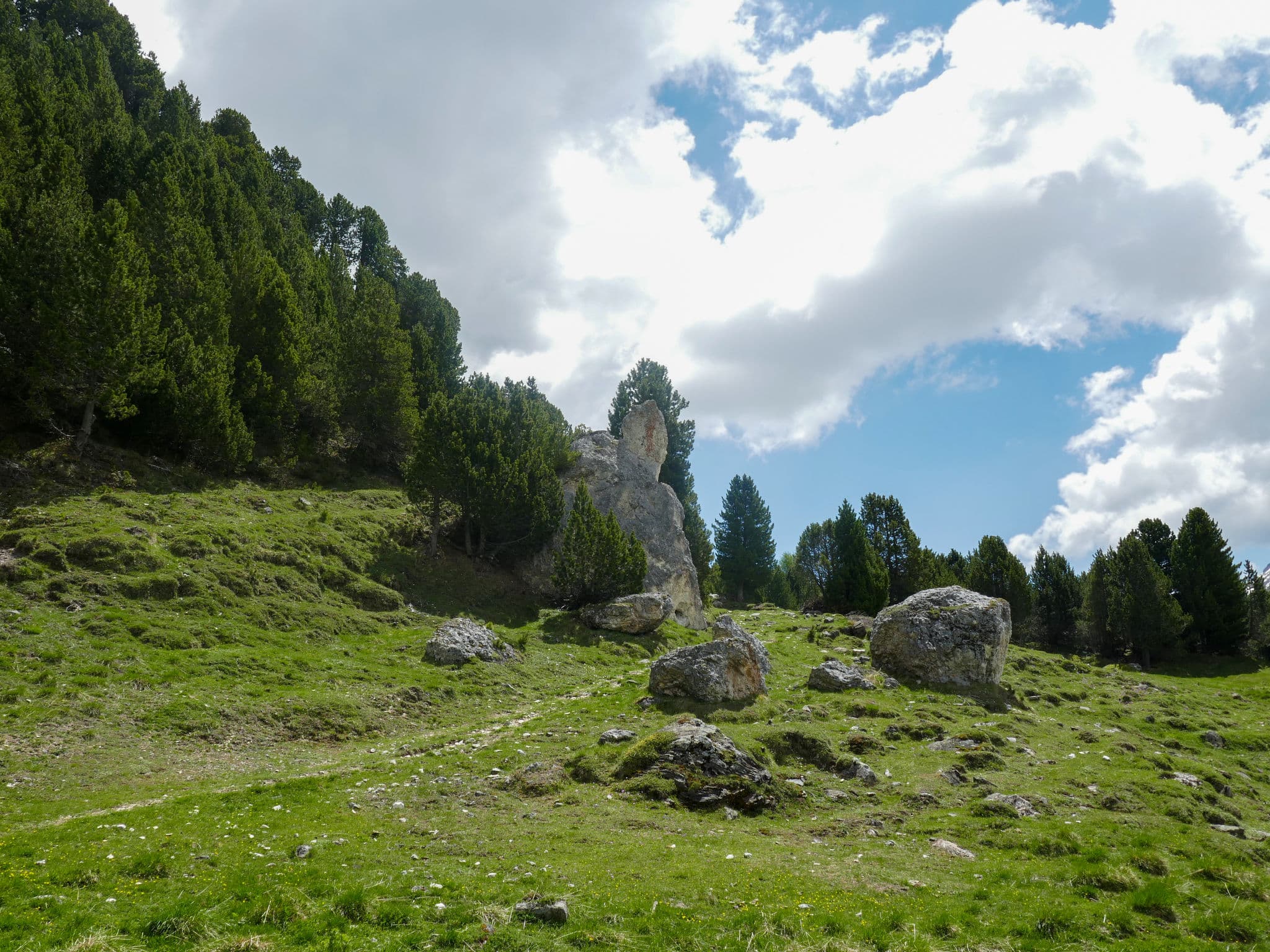 View