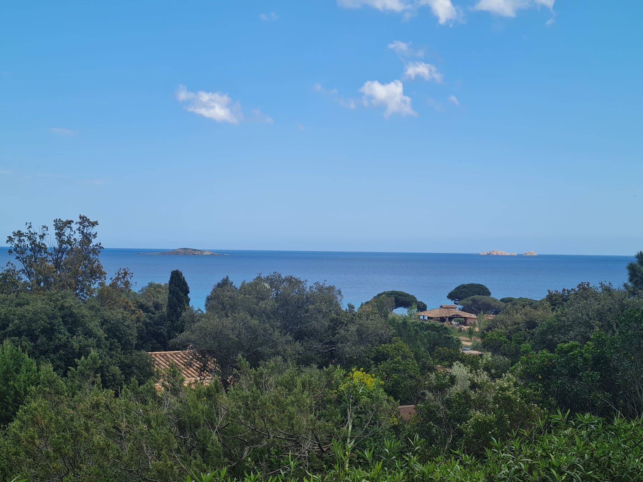 View