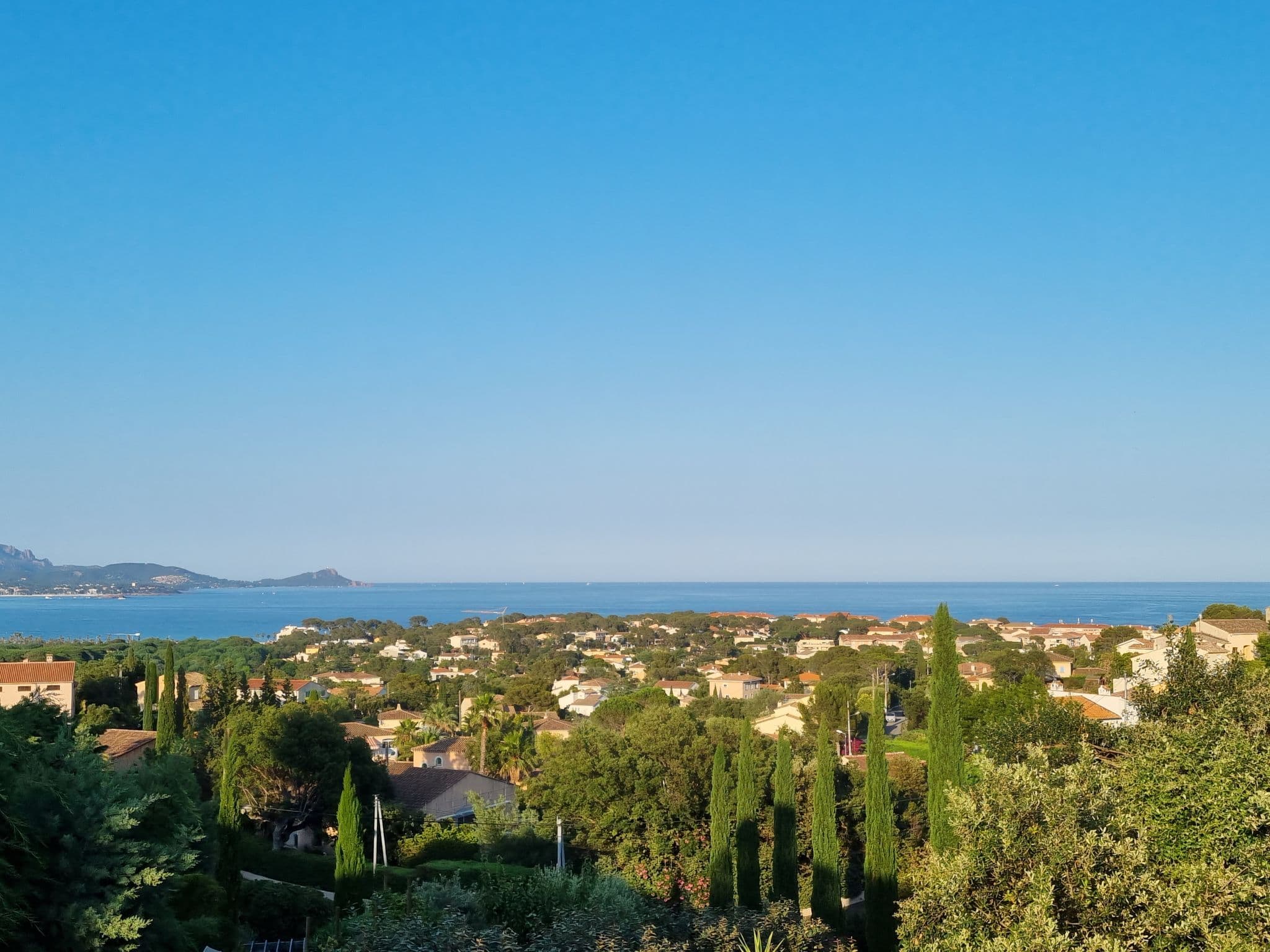 View