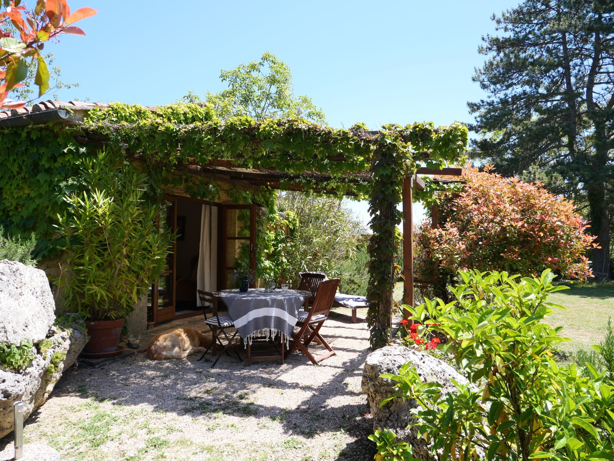 Terrace