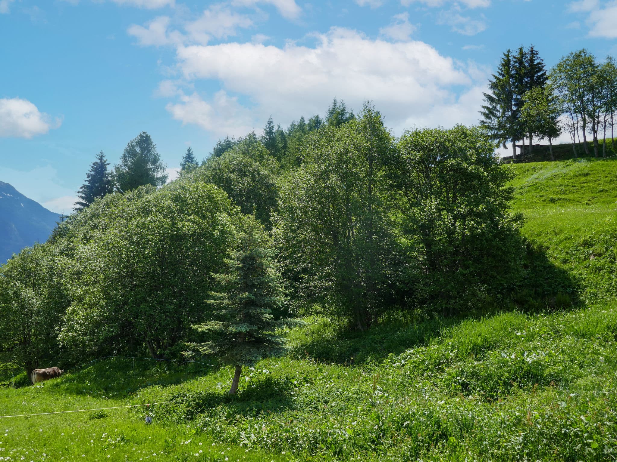 View