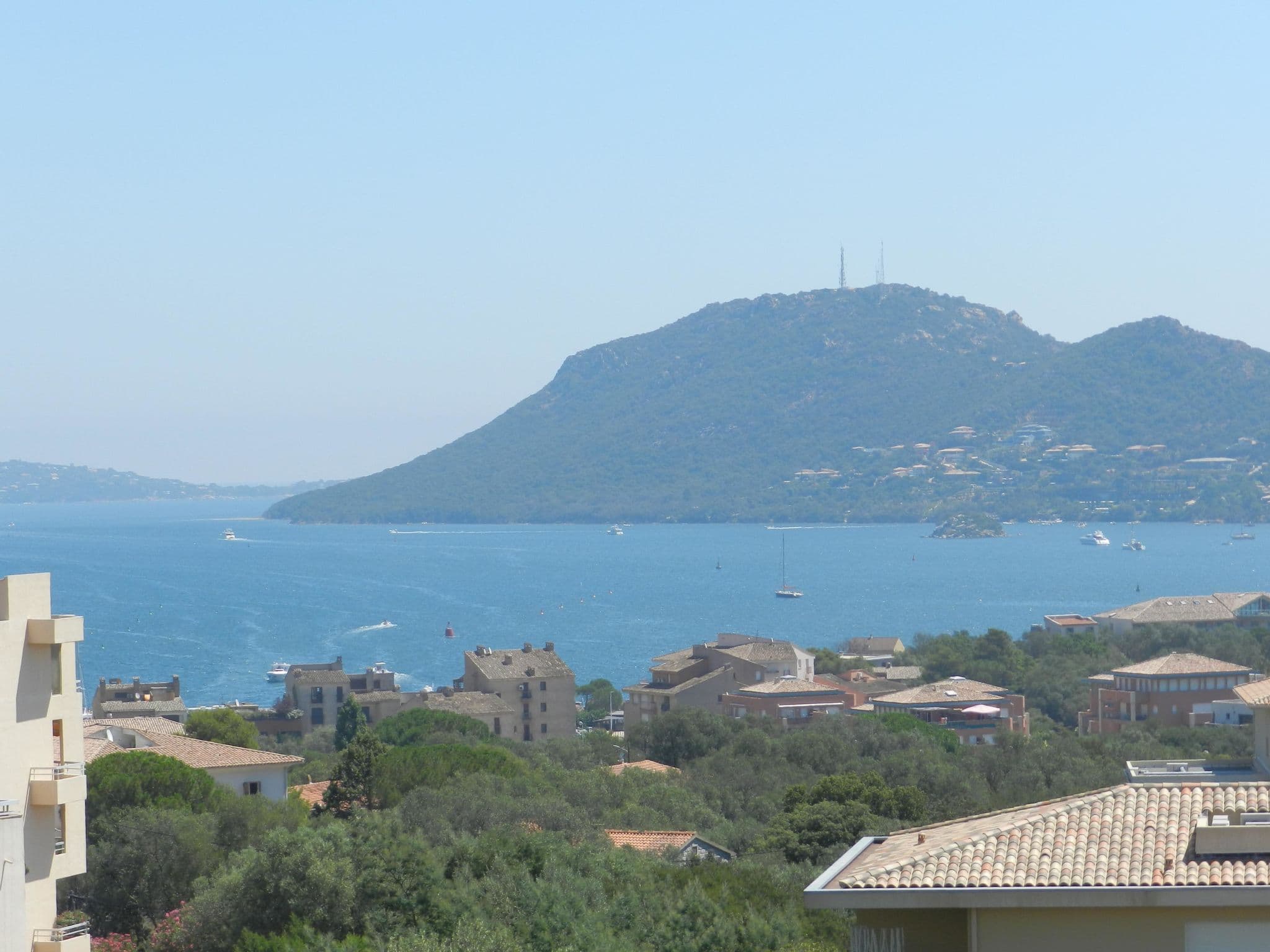 View