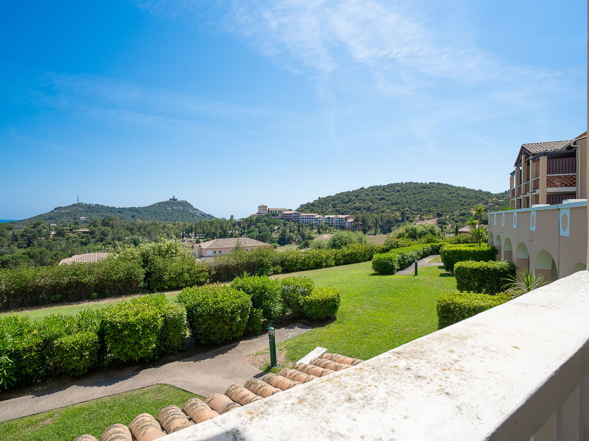 View