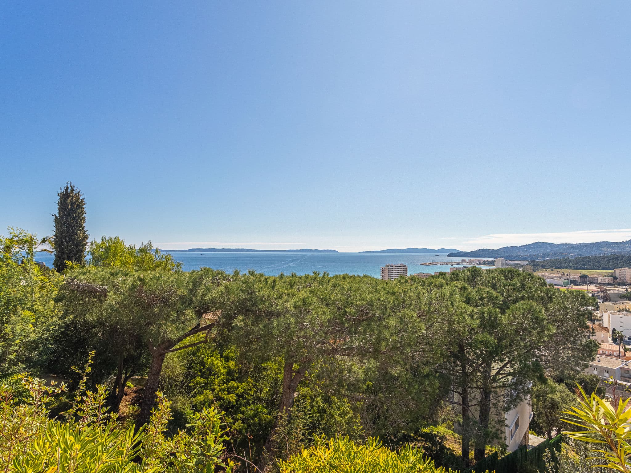 View