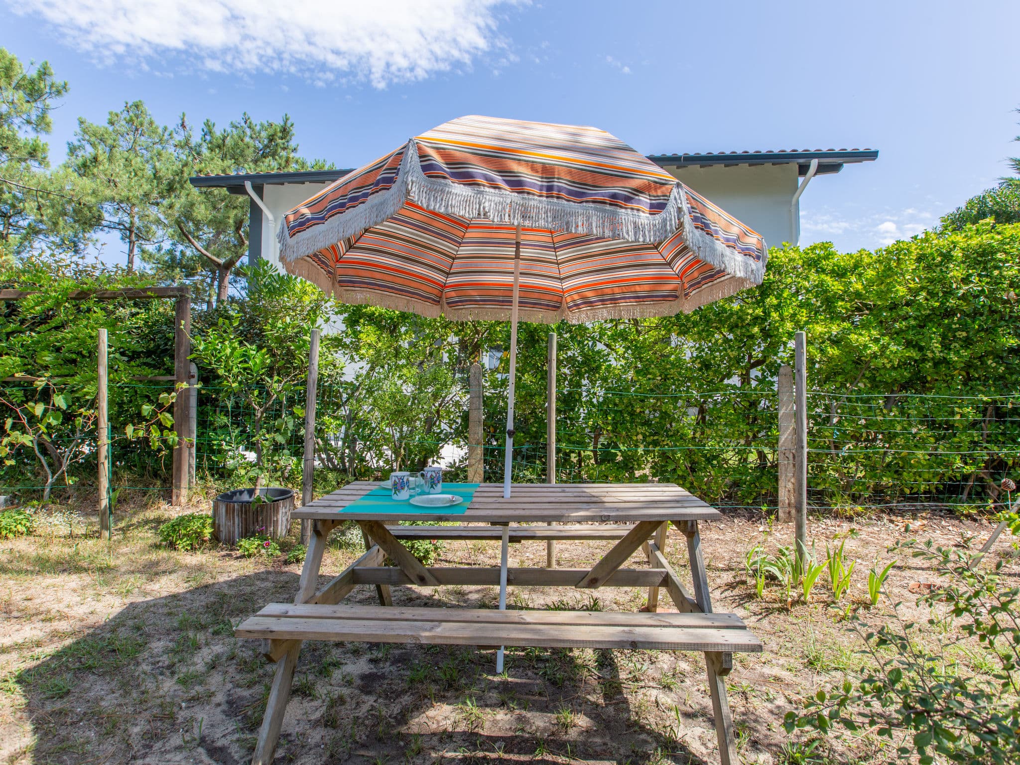 Outdoor