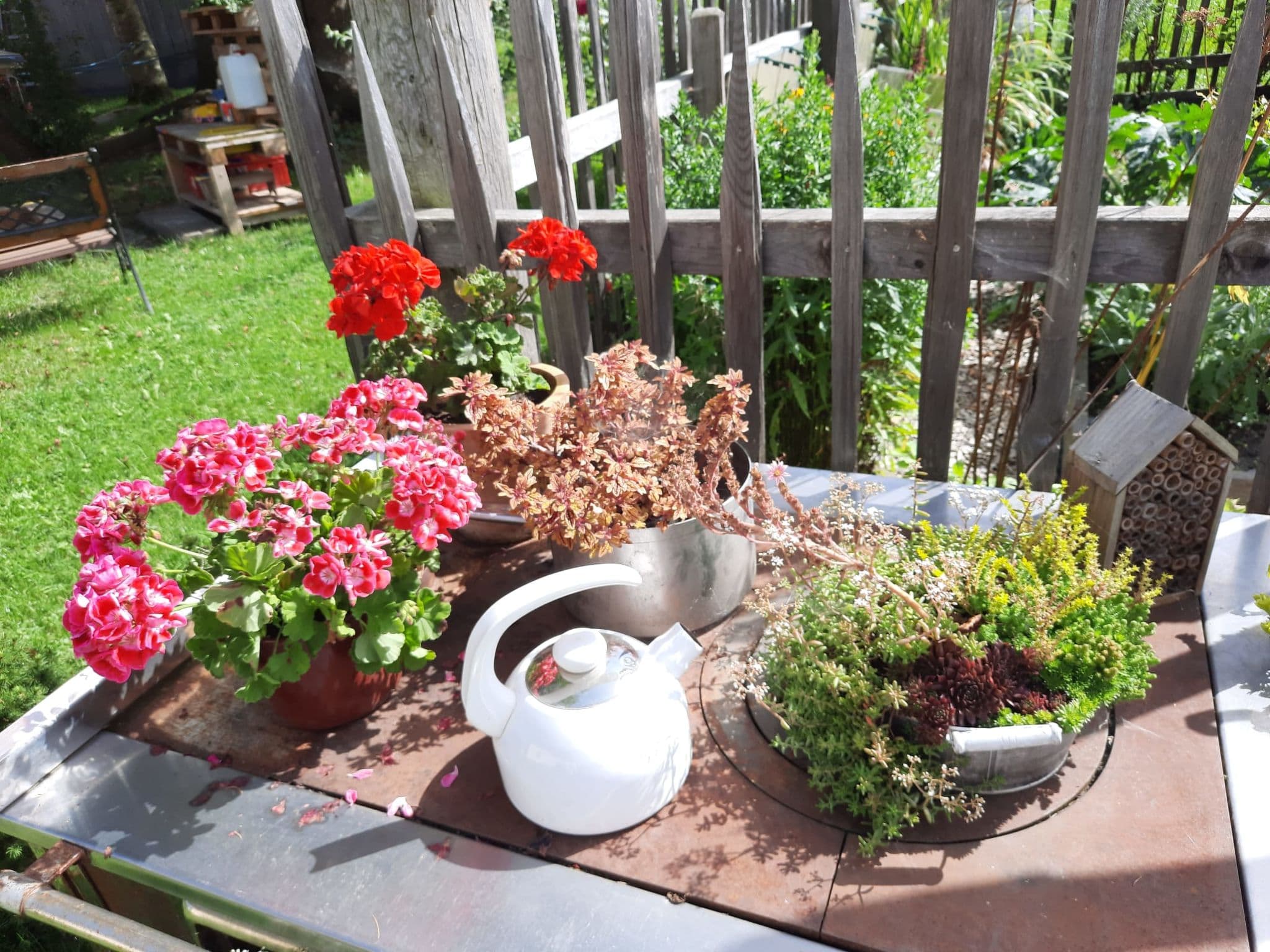Outdoor