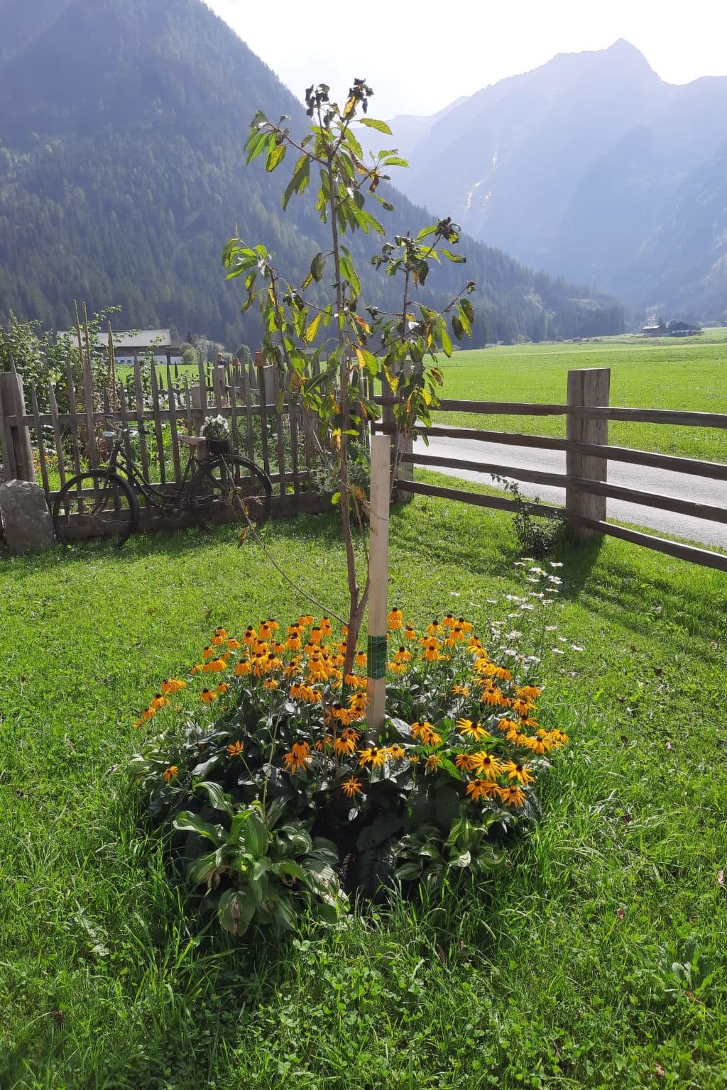 Outdoor