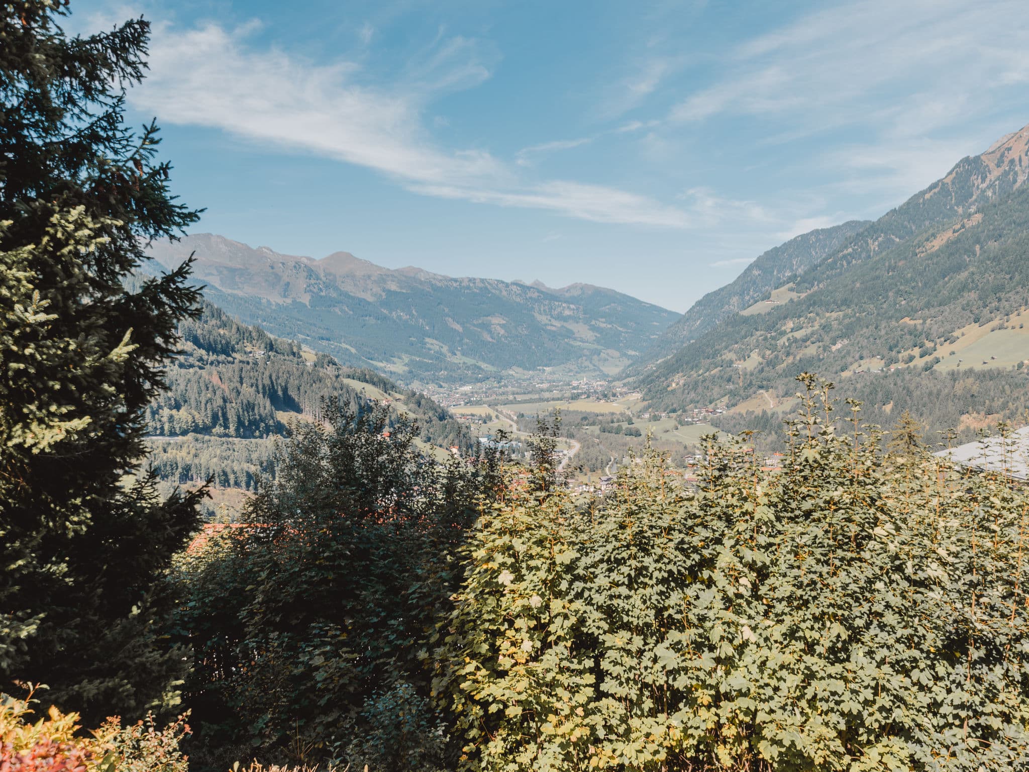 View