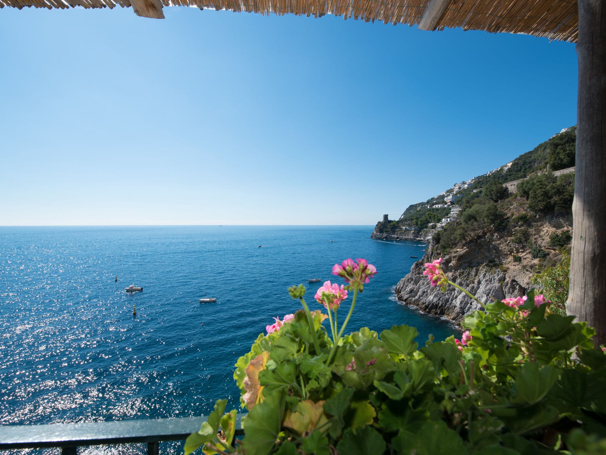 View