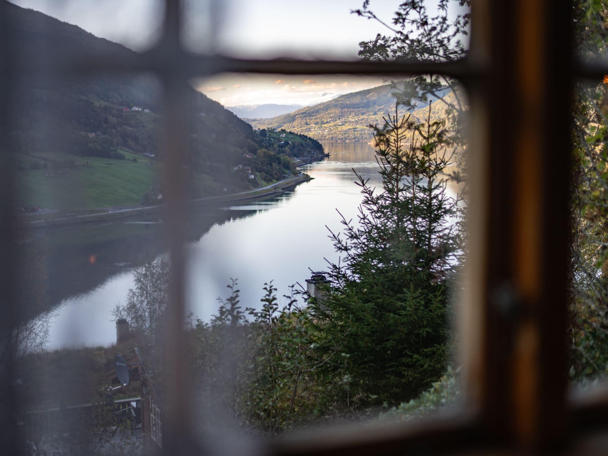 View