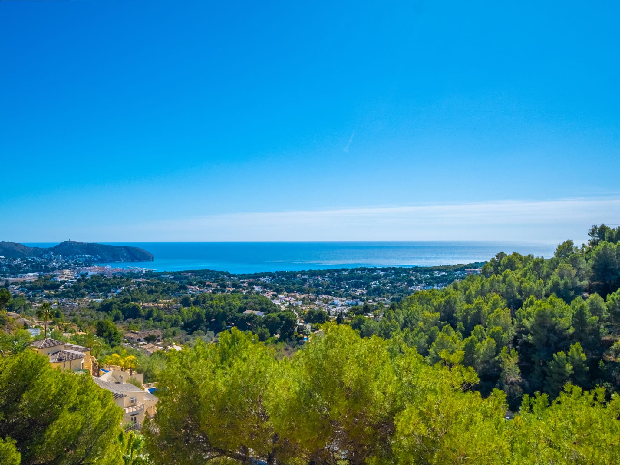 View