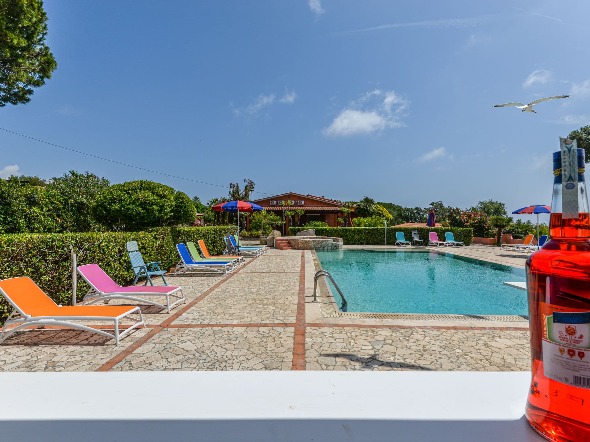Pool Outdoor