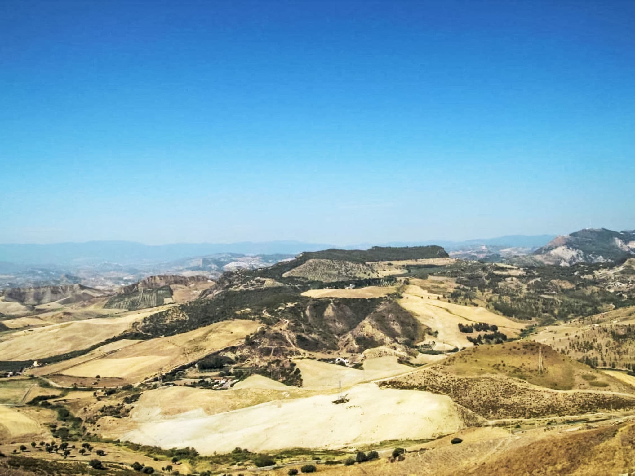 View