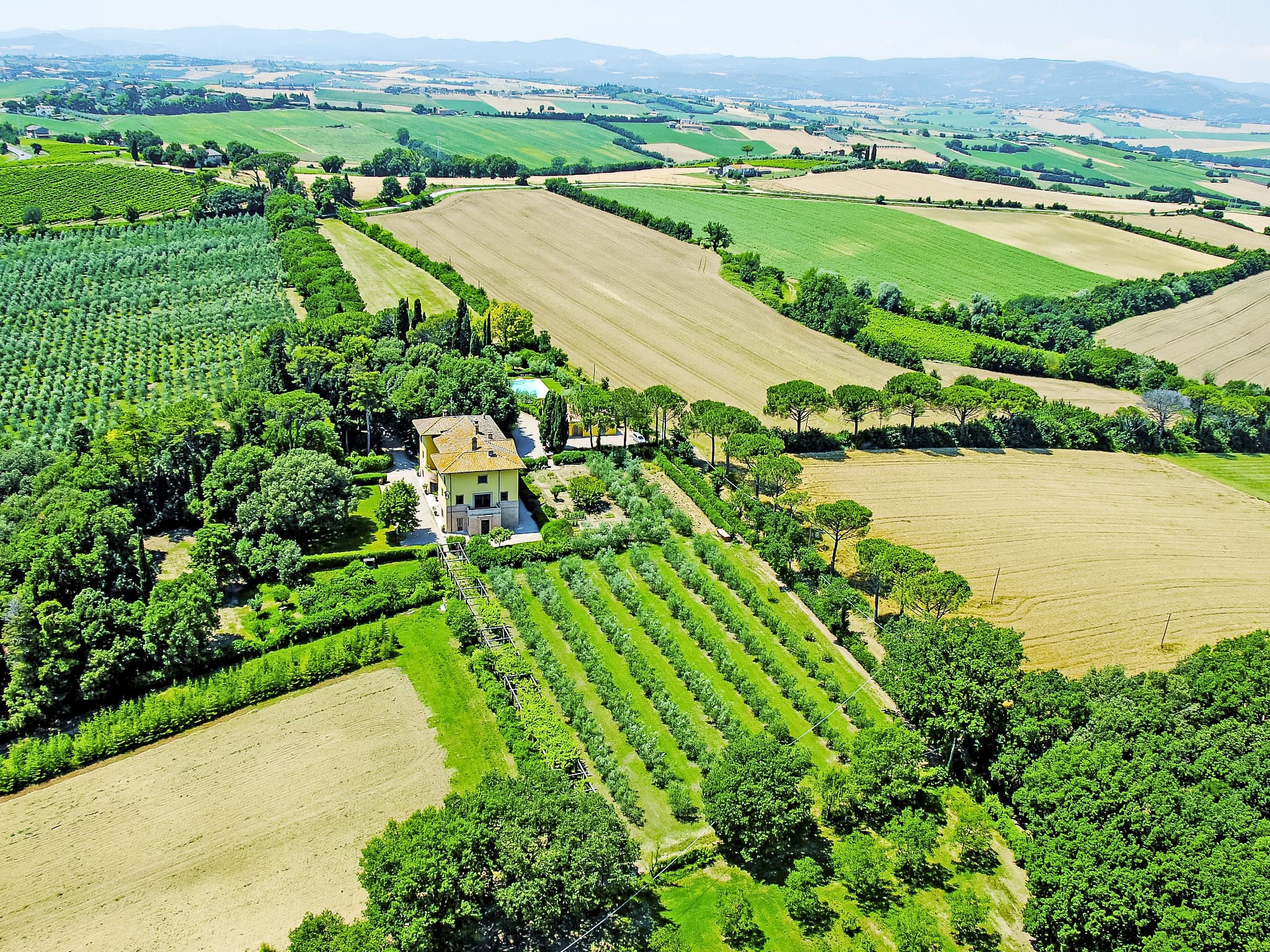 Aerial photography