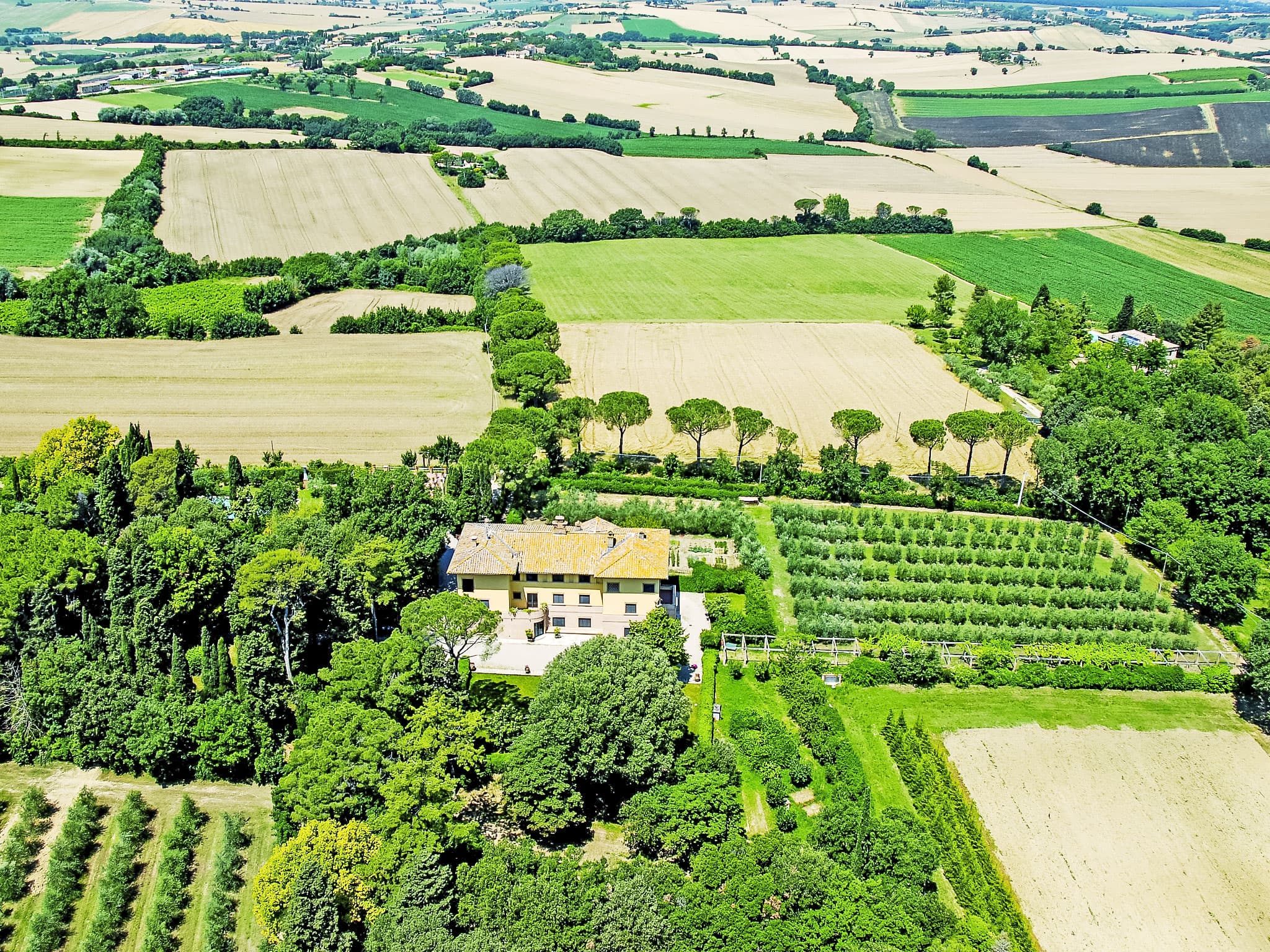 Aerial photography