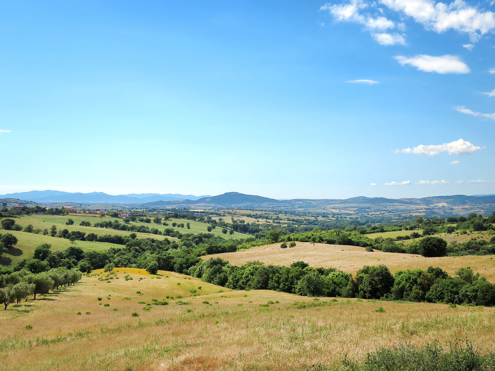 View