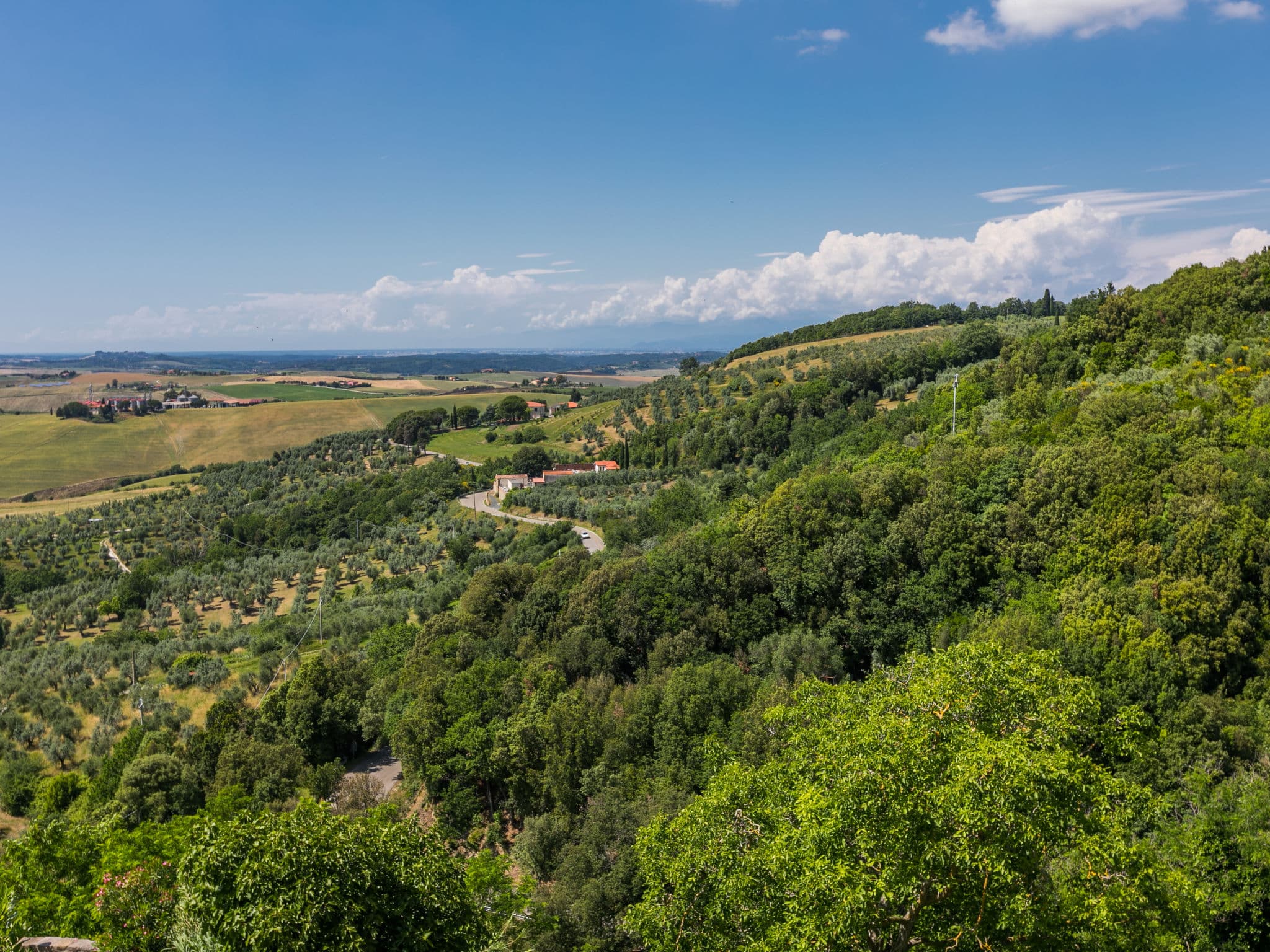View