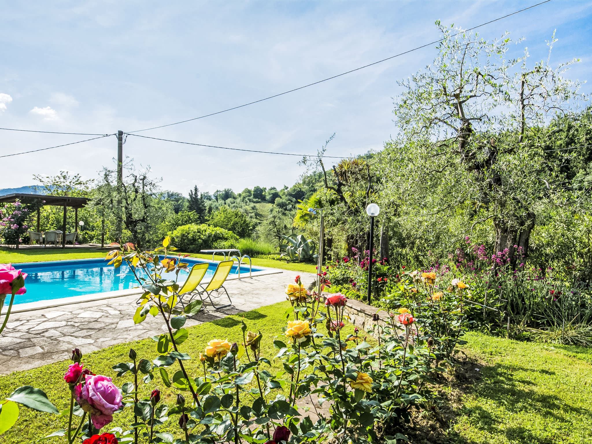 Pool Outdoor