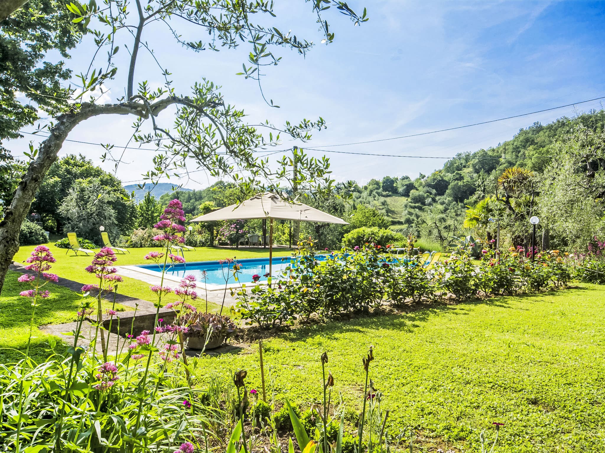 Pool Outdoor